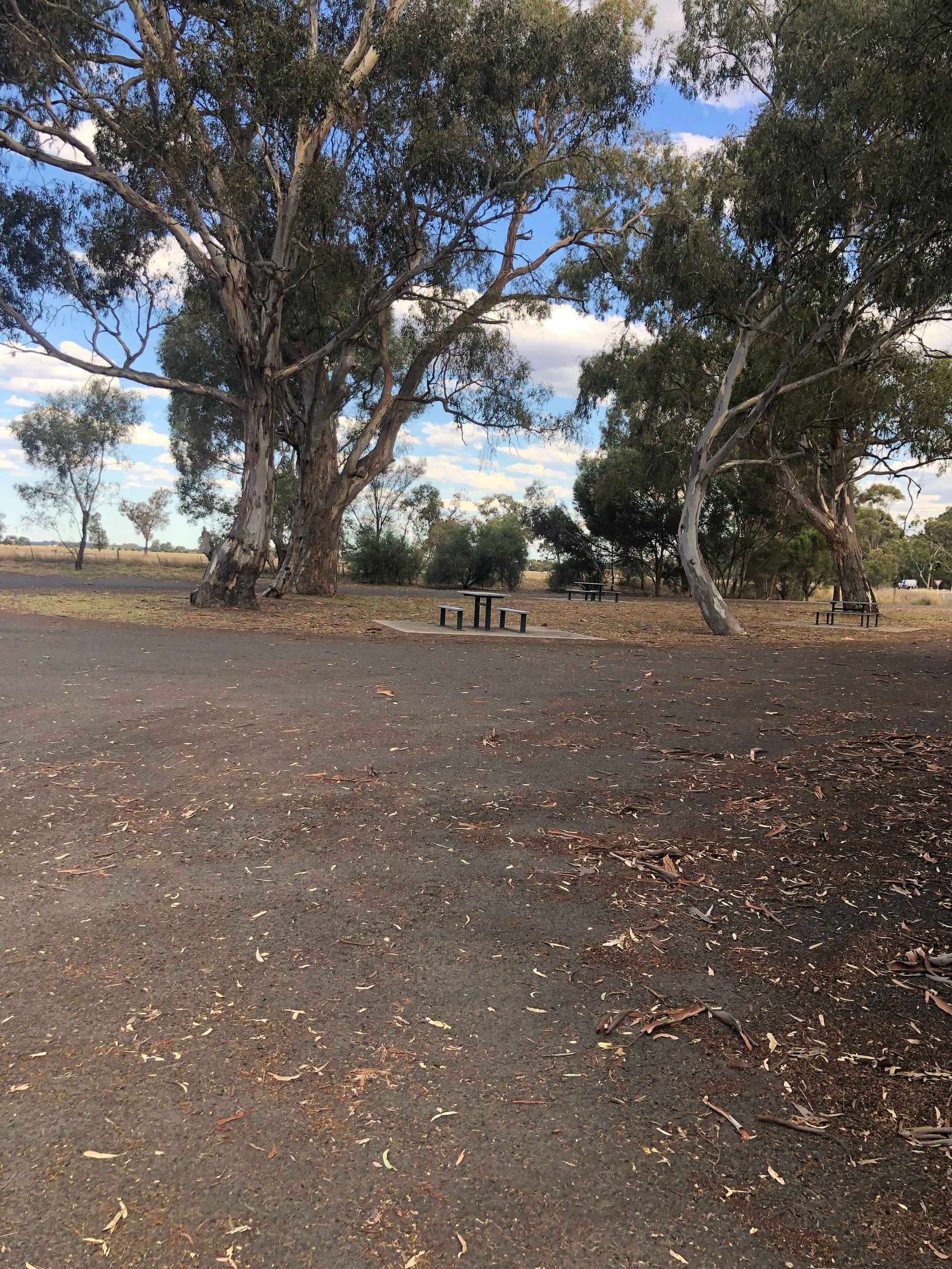 Burnt Creek