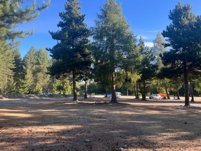 Lake Ruataniwha Holiday Park & Motels