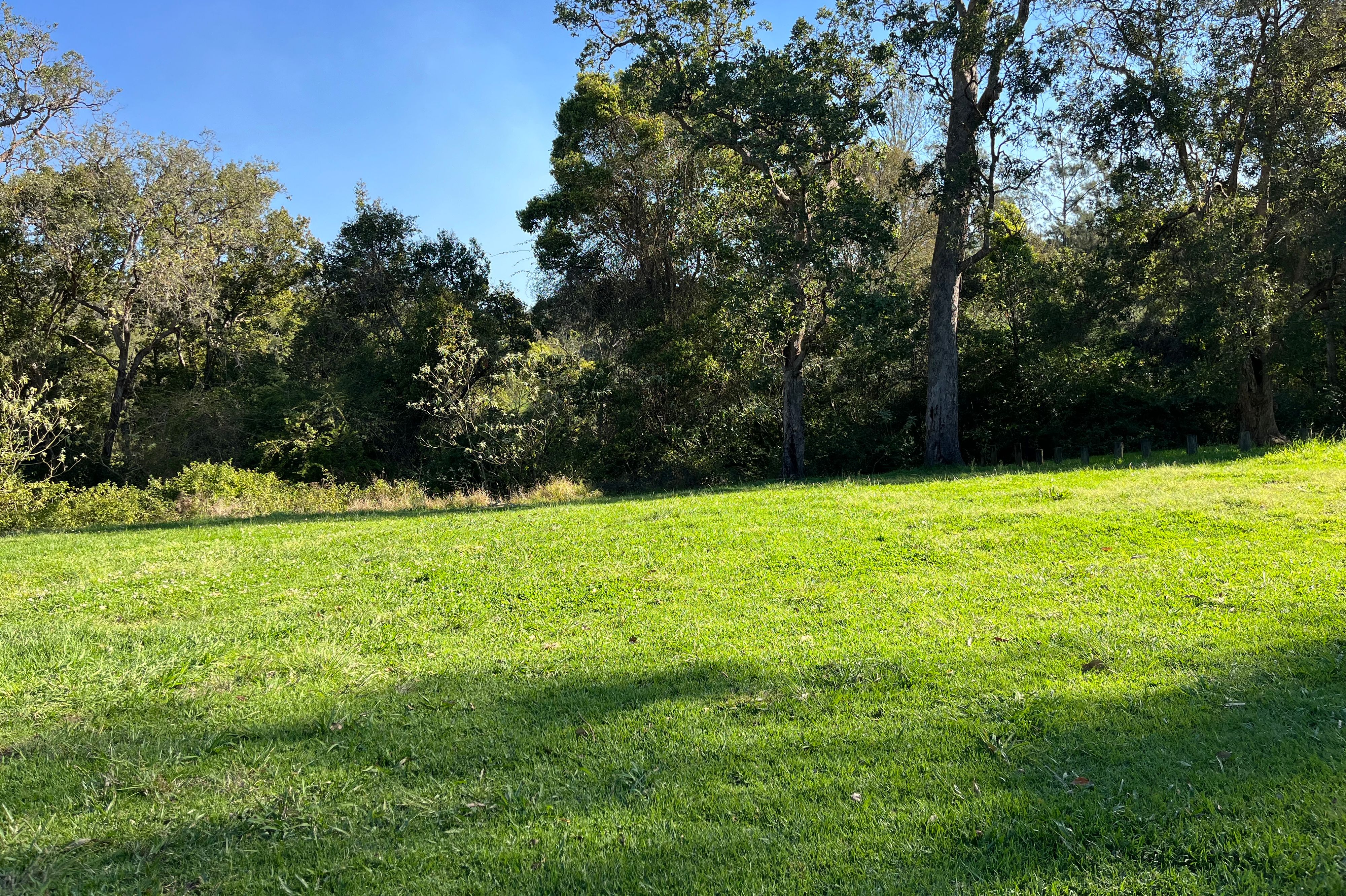 Ellenborough Reserve Free Camping - Image 2