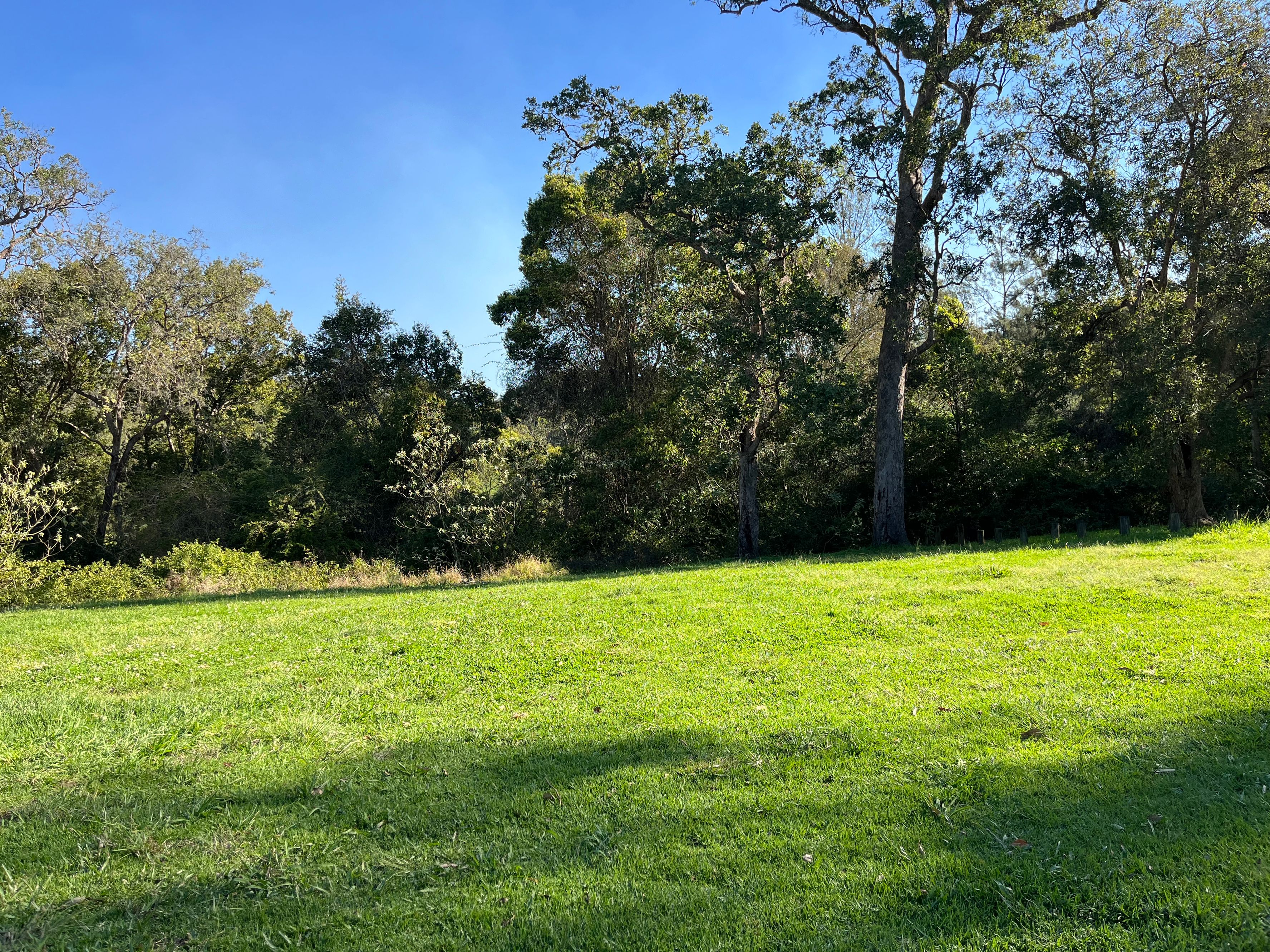 Ellenborough Reserve Free Camping - Image 2