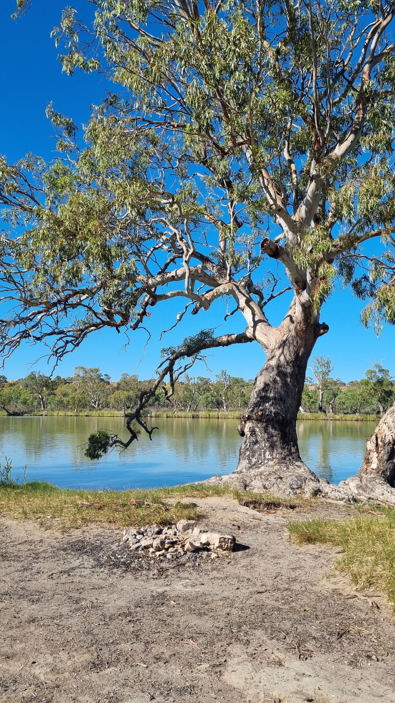 Big Bend River الفنادق - Image 2