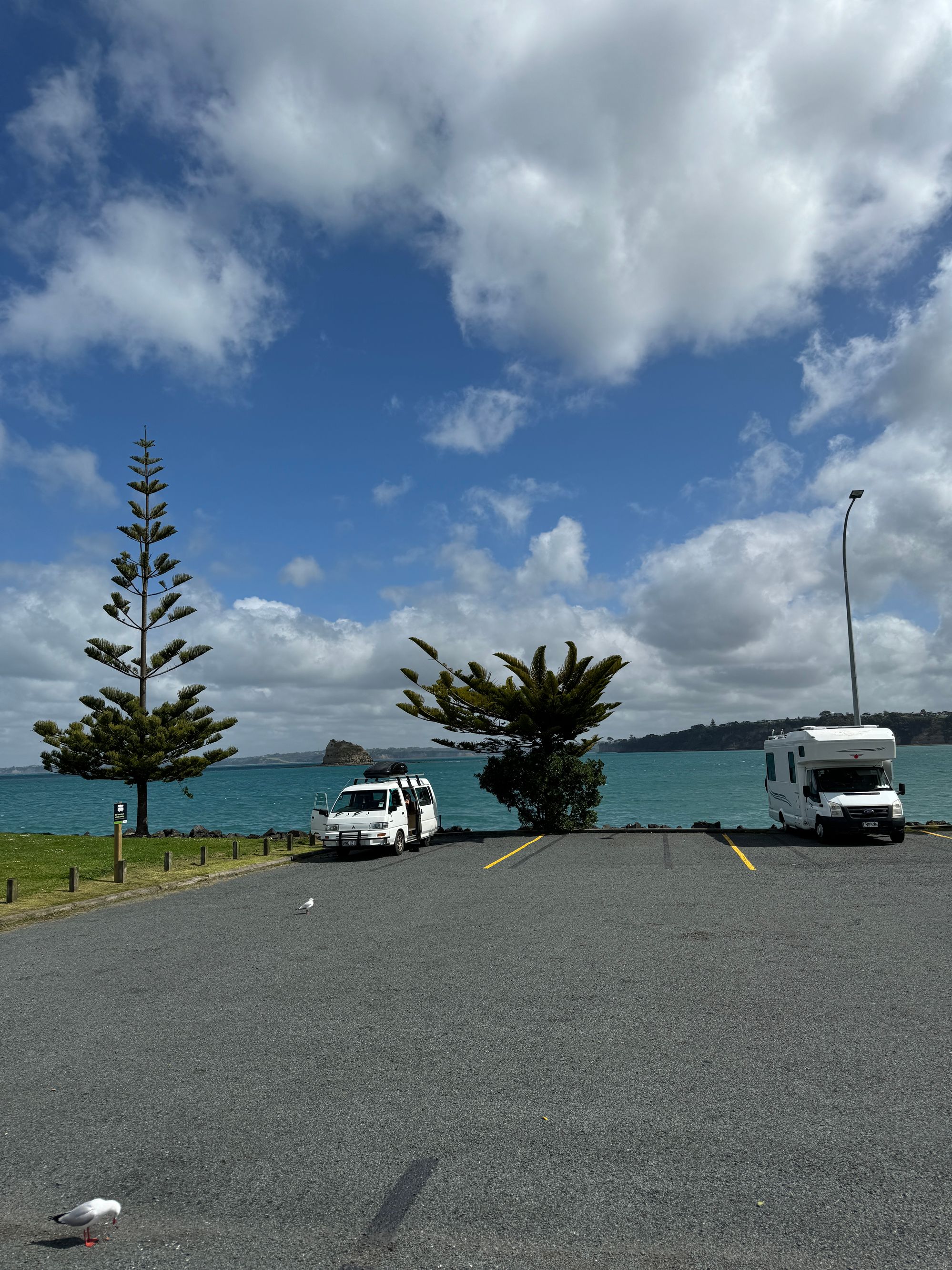 Gulf Harbour