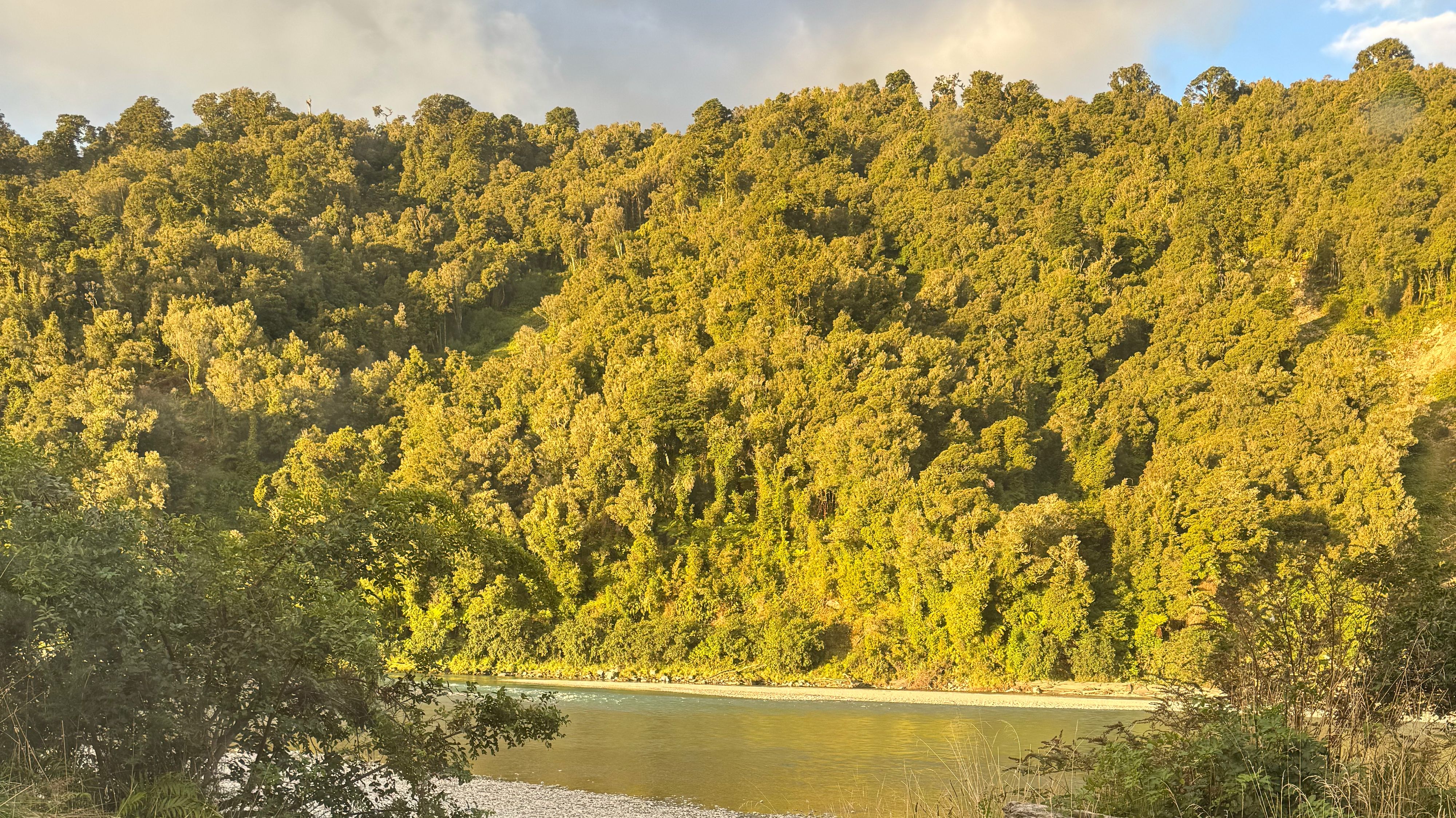 Góra Whataroa Rd