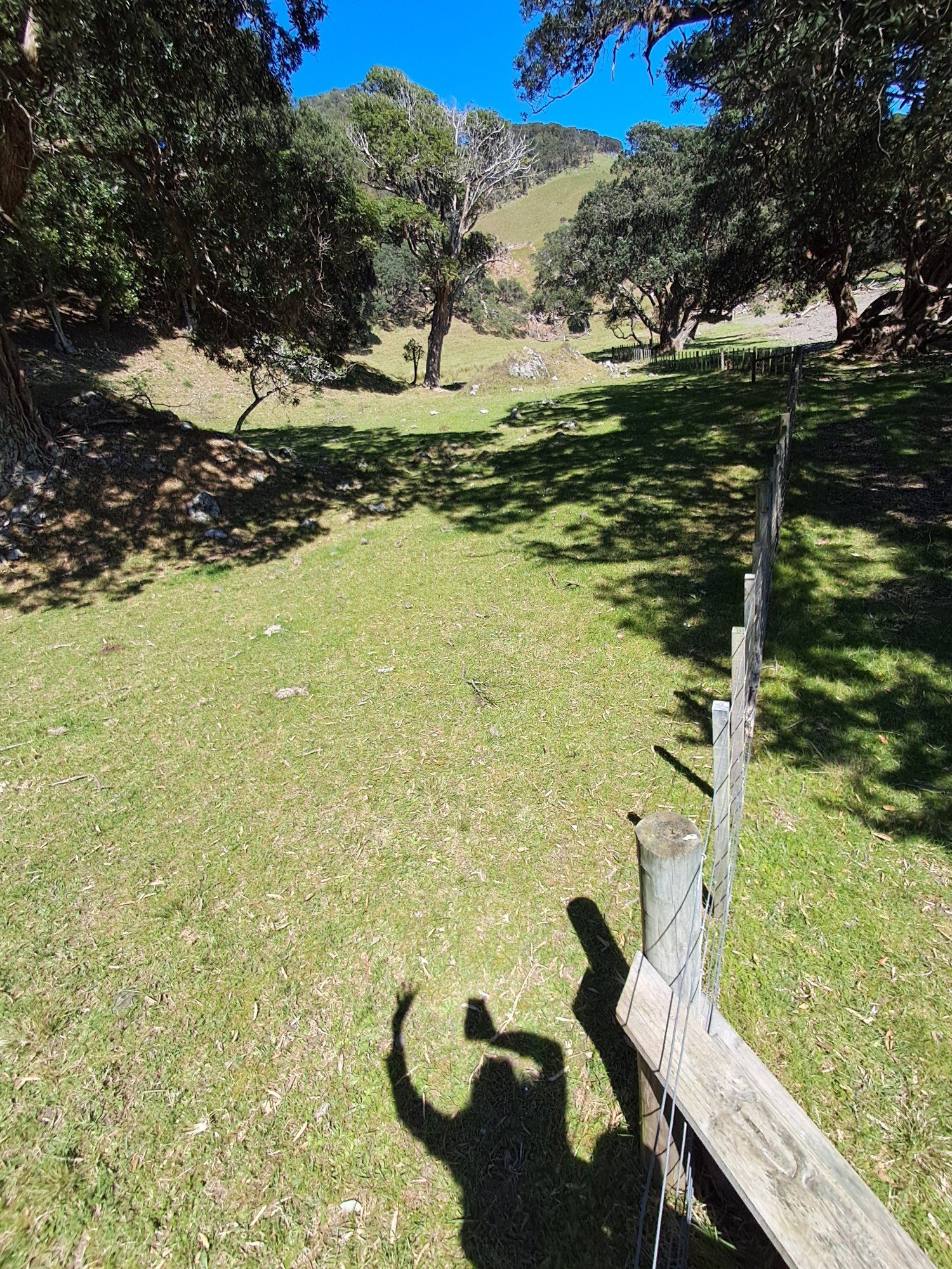 Traveller photo of Lottin Point