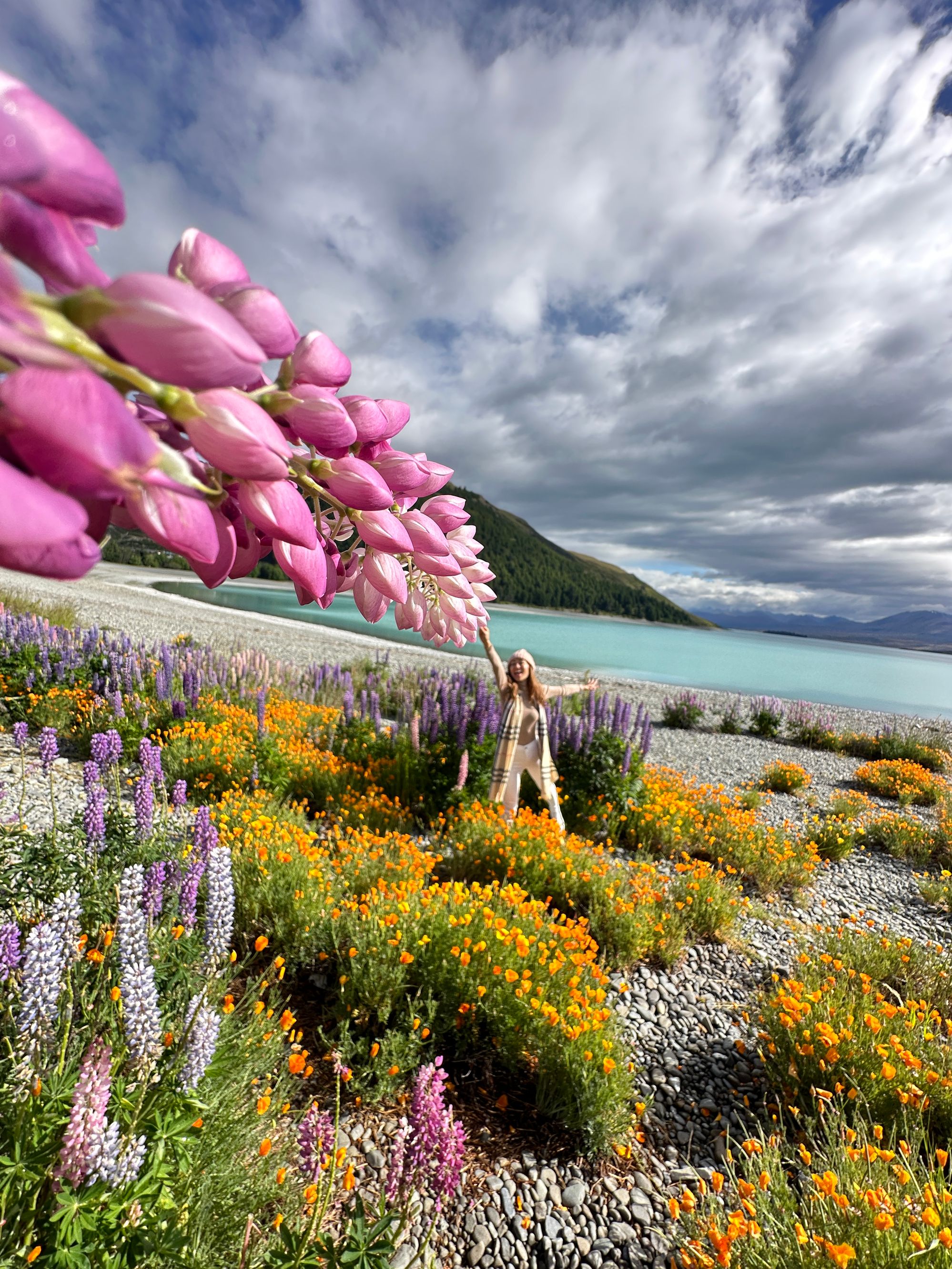 Søen Tekapo Reserve - Image 2
