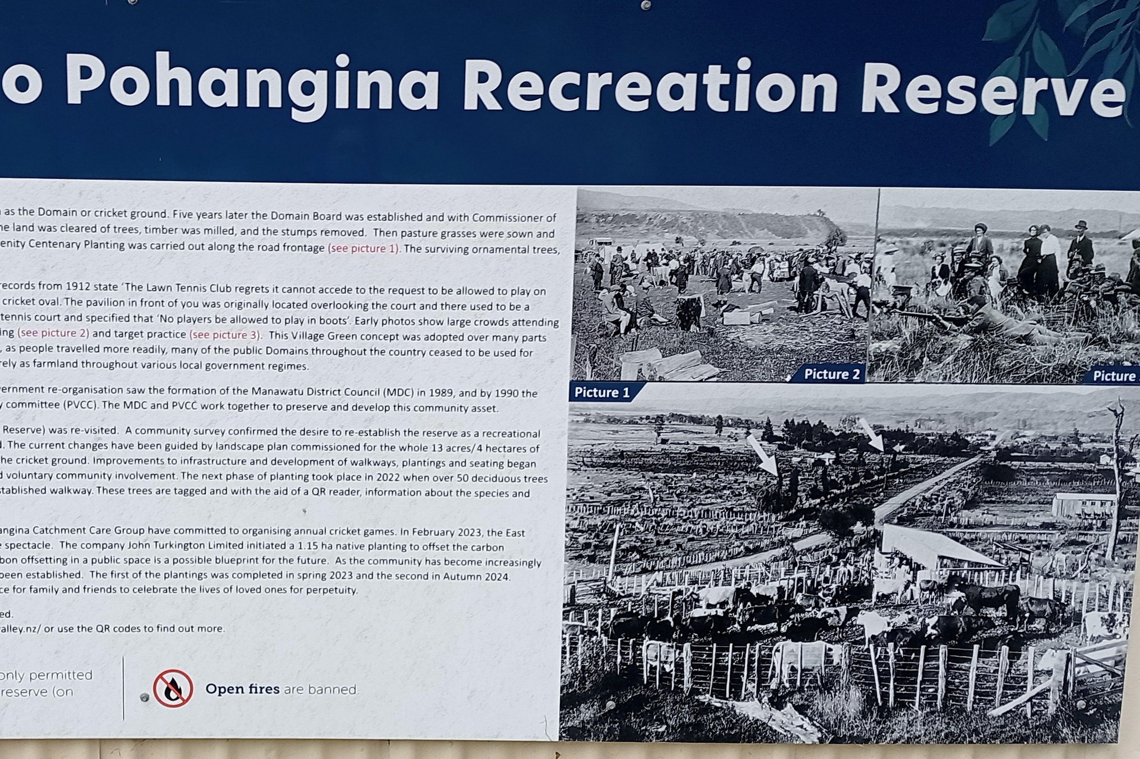 Pohangina Recreational Reserve (The Domain) - Image 3