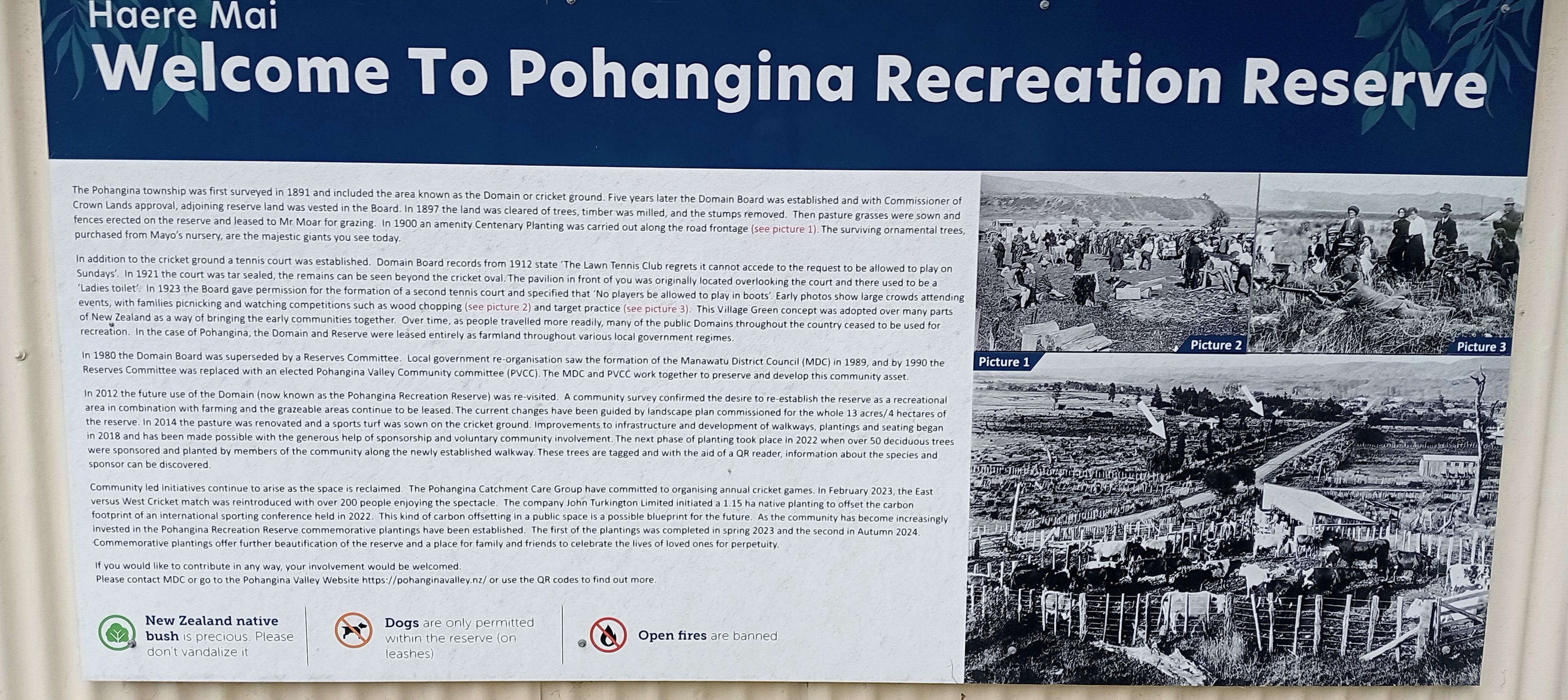 Pohangina Recreational Reserve (The Domain) - Image 3