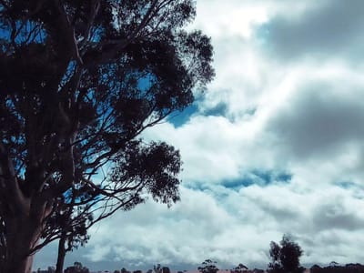 Tarlee Rest Area