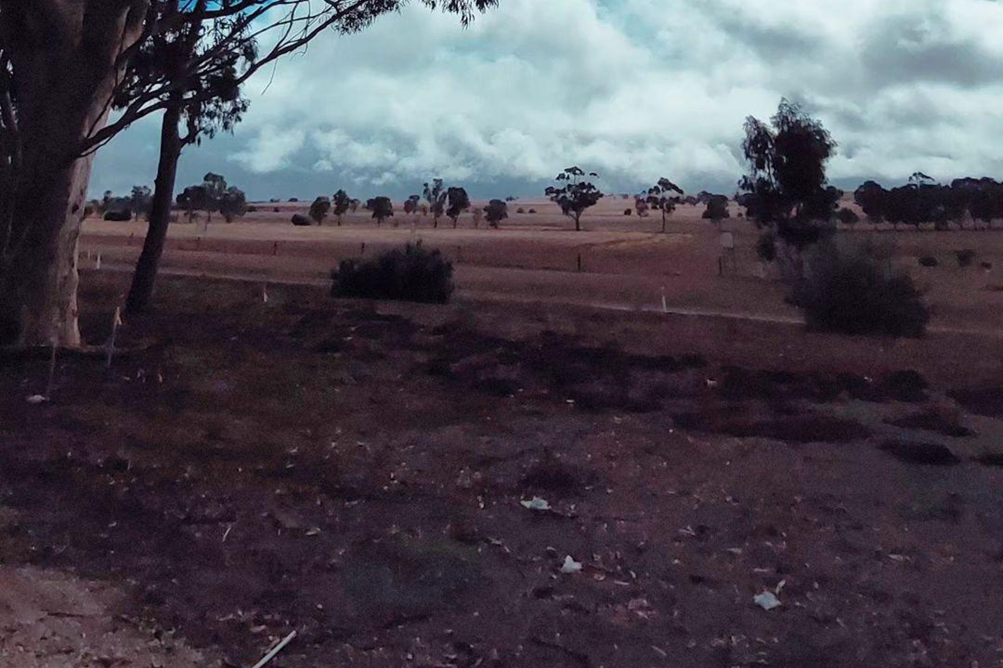 Zona di riposo di Tarlee