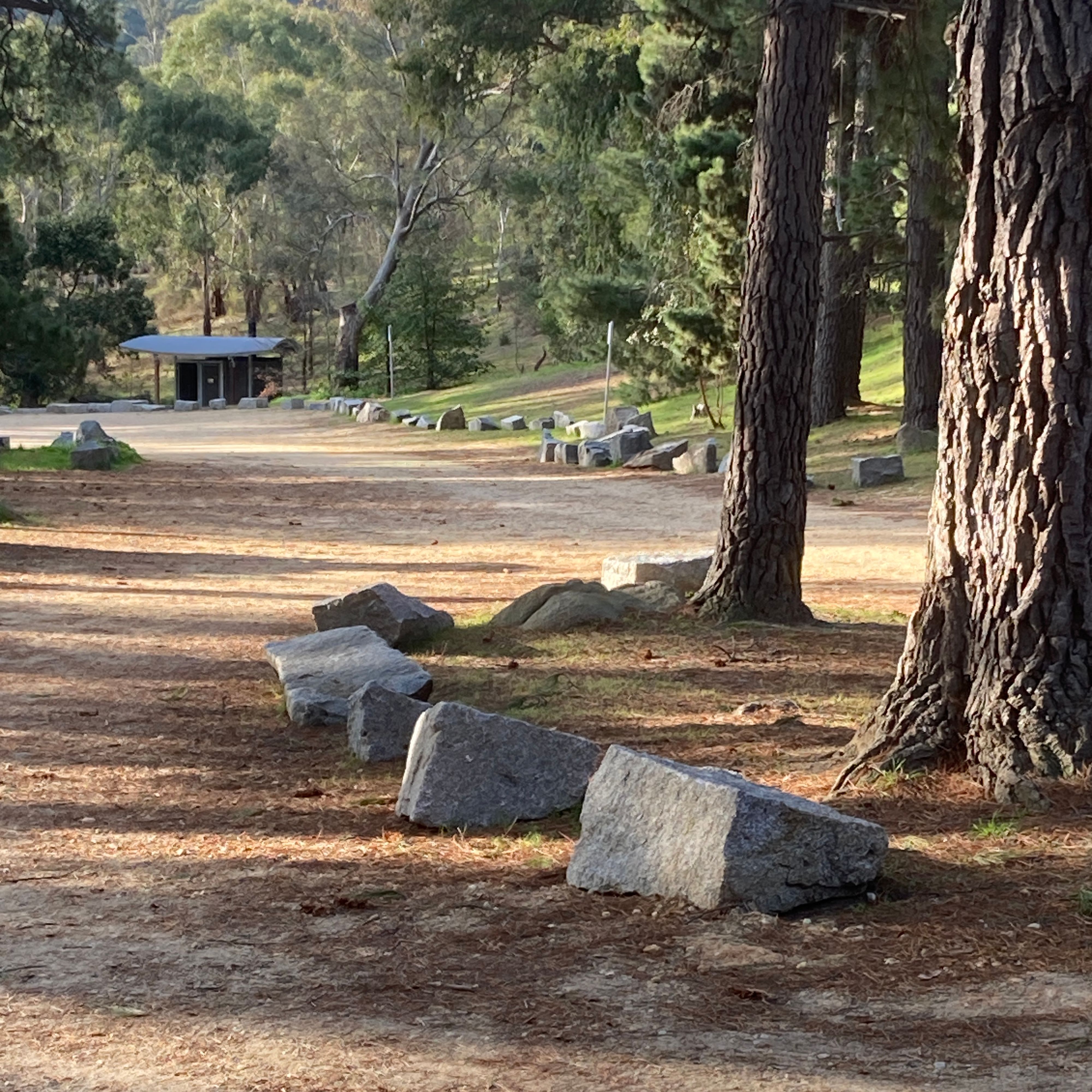 Picnic Gully, Mt Alexander Regional Park - Image 2