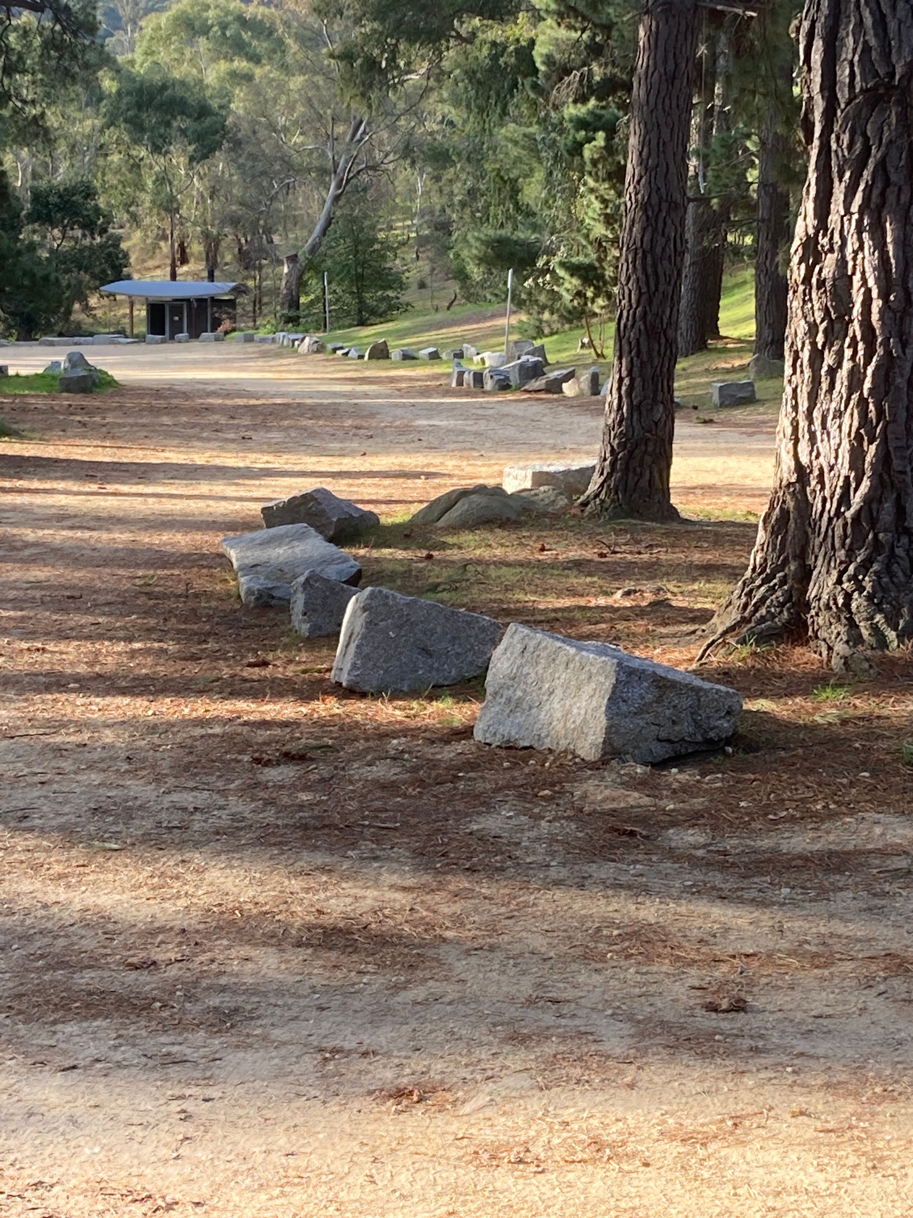 Picnic Gully, Mt Alexander Regional Park - Image 2