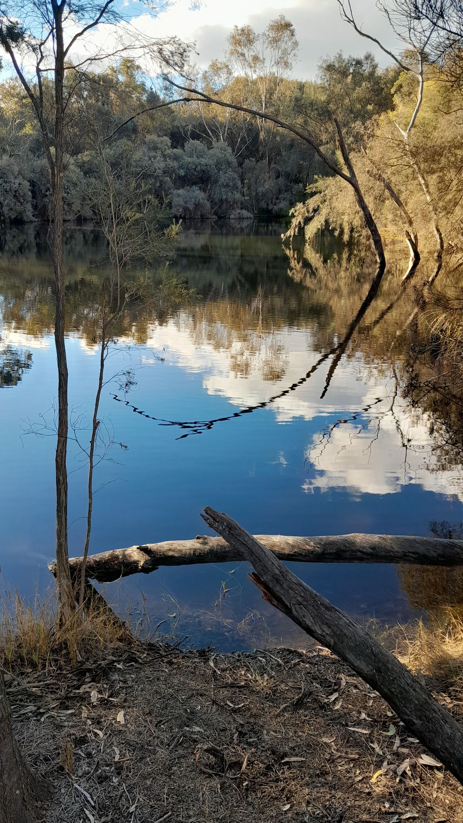 Eadine Springs 休息区 - Image 3