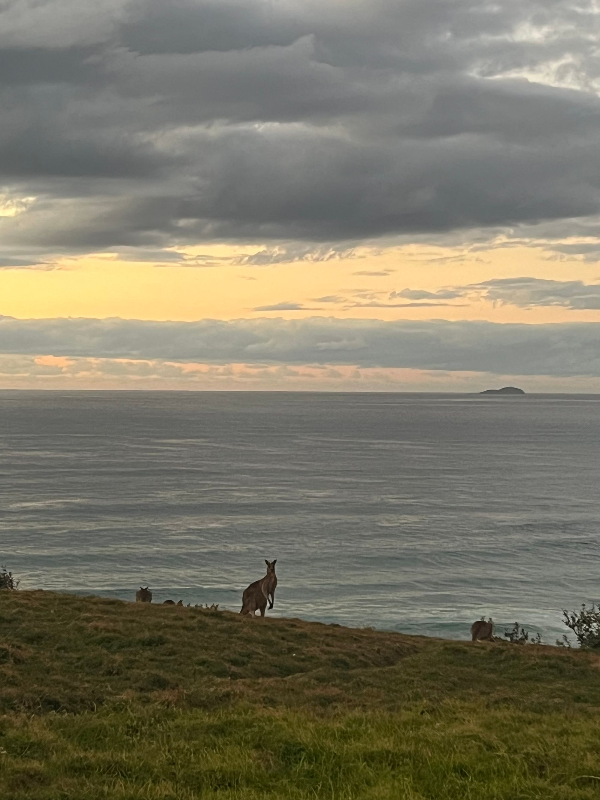 Woolgoolga Headland Lookout - Image 2