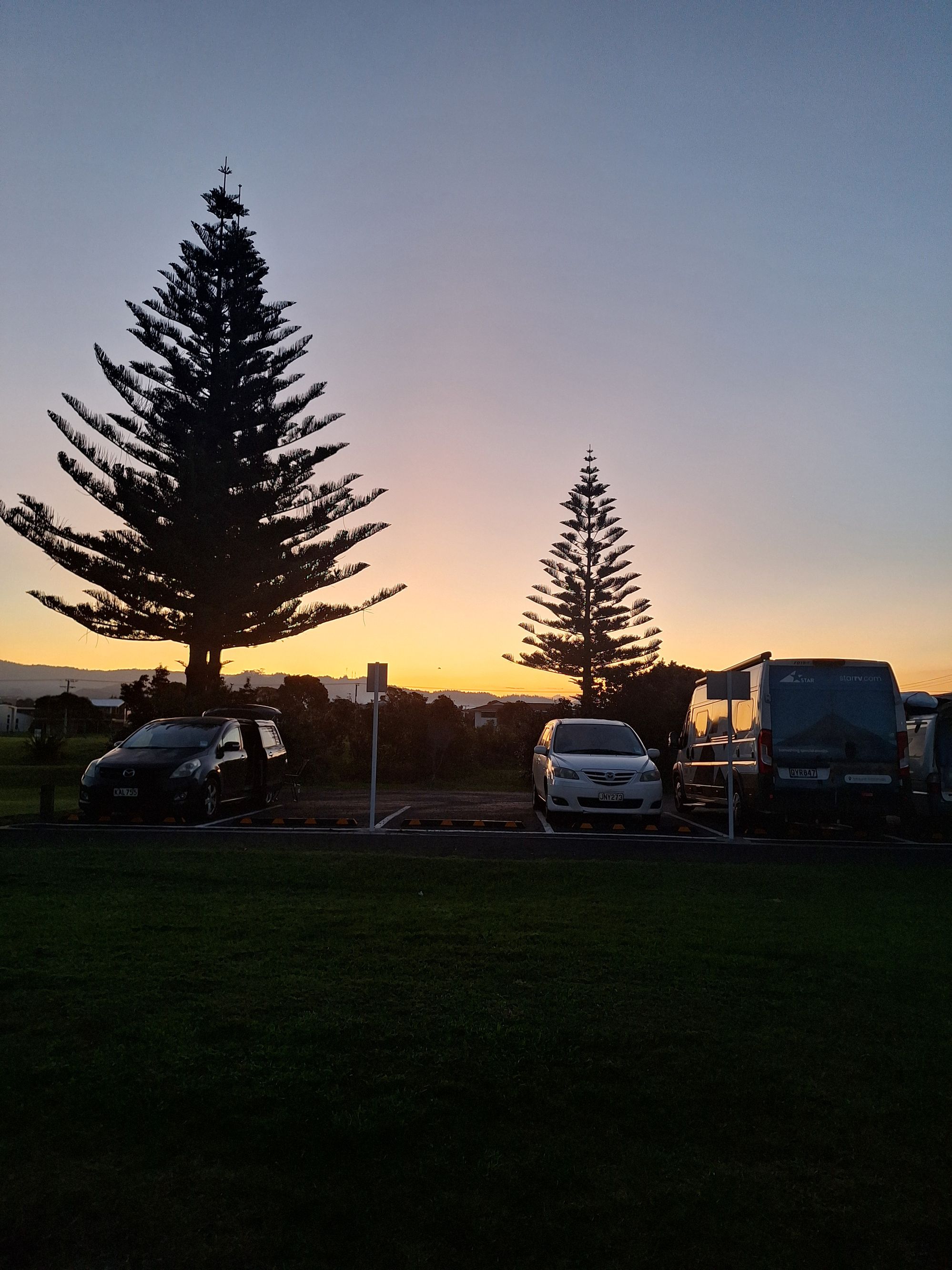 Island View Reserve - Whangamata - Image 3