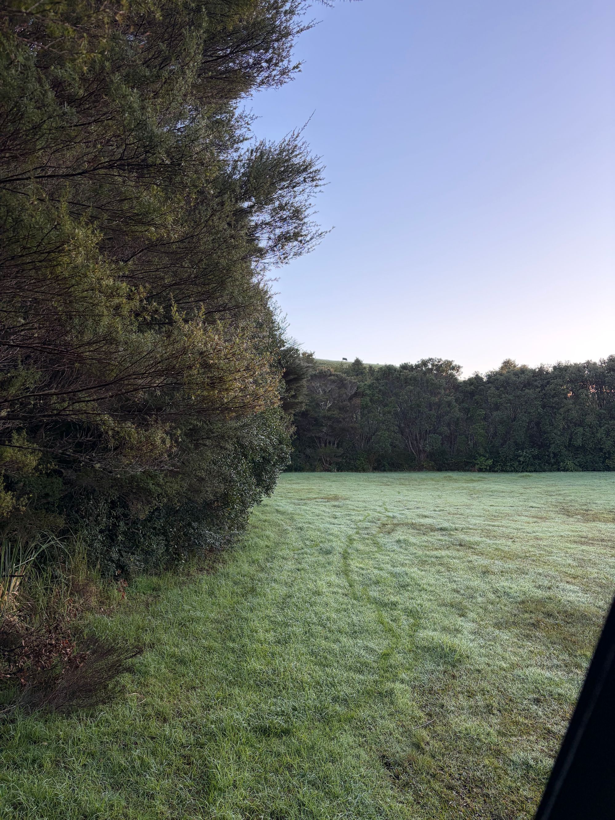 Totara North Camping - Image 2