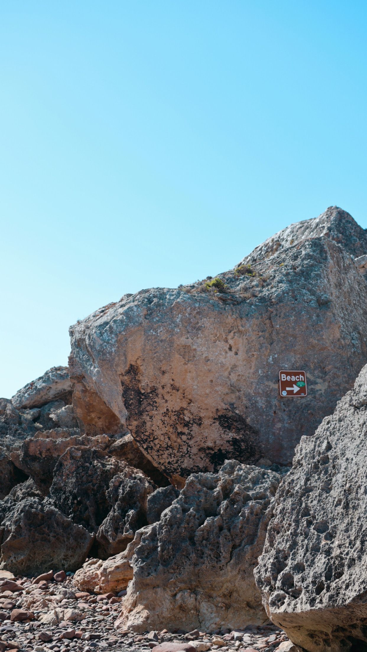 Stokes Bay Campground - Image 2