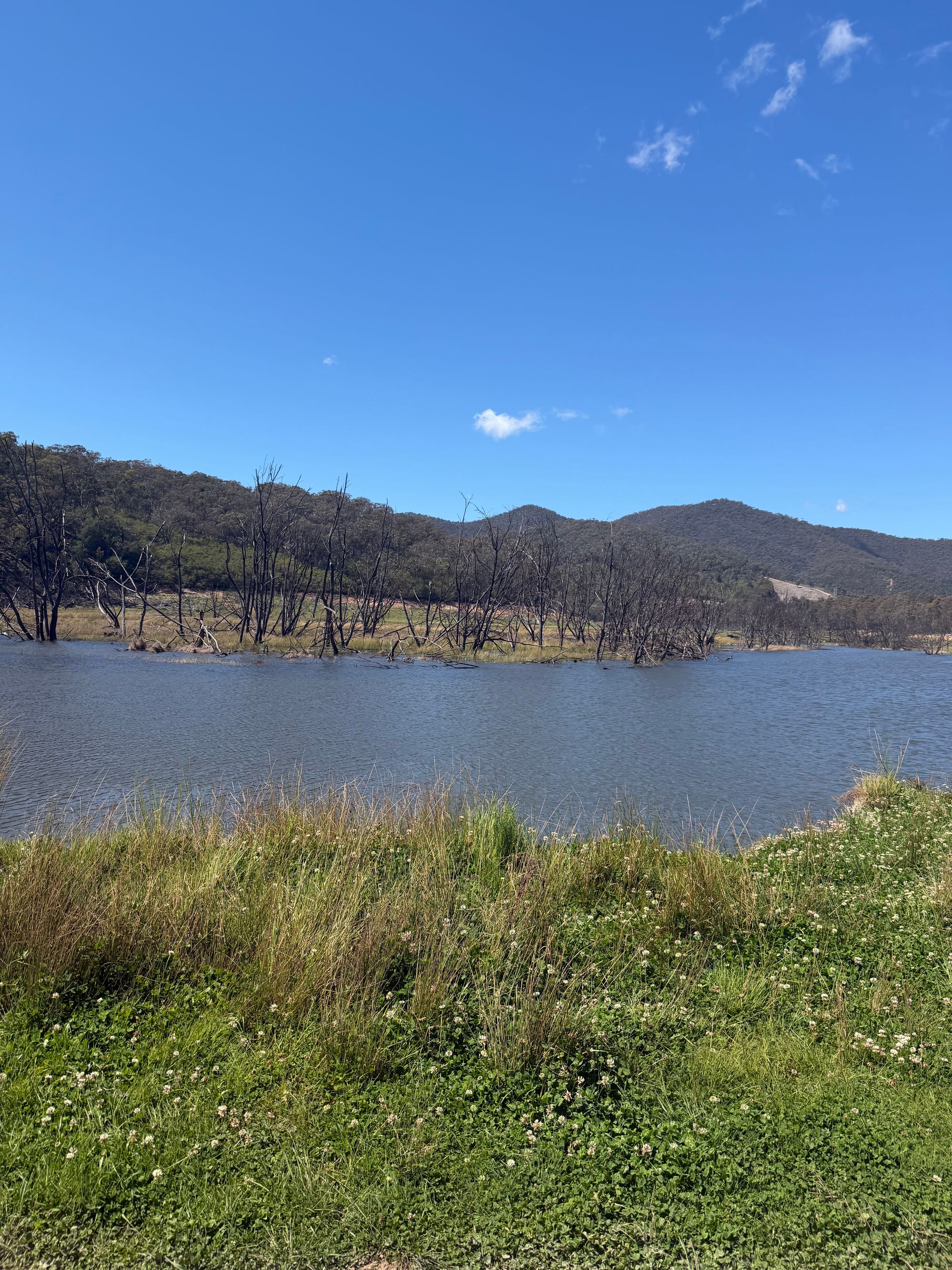 Restauracje w pobliżu Orchard Camp Ground Lake Eildon - Image 2