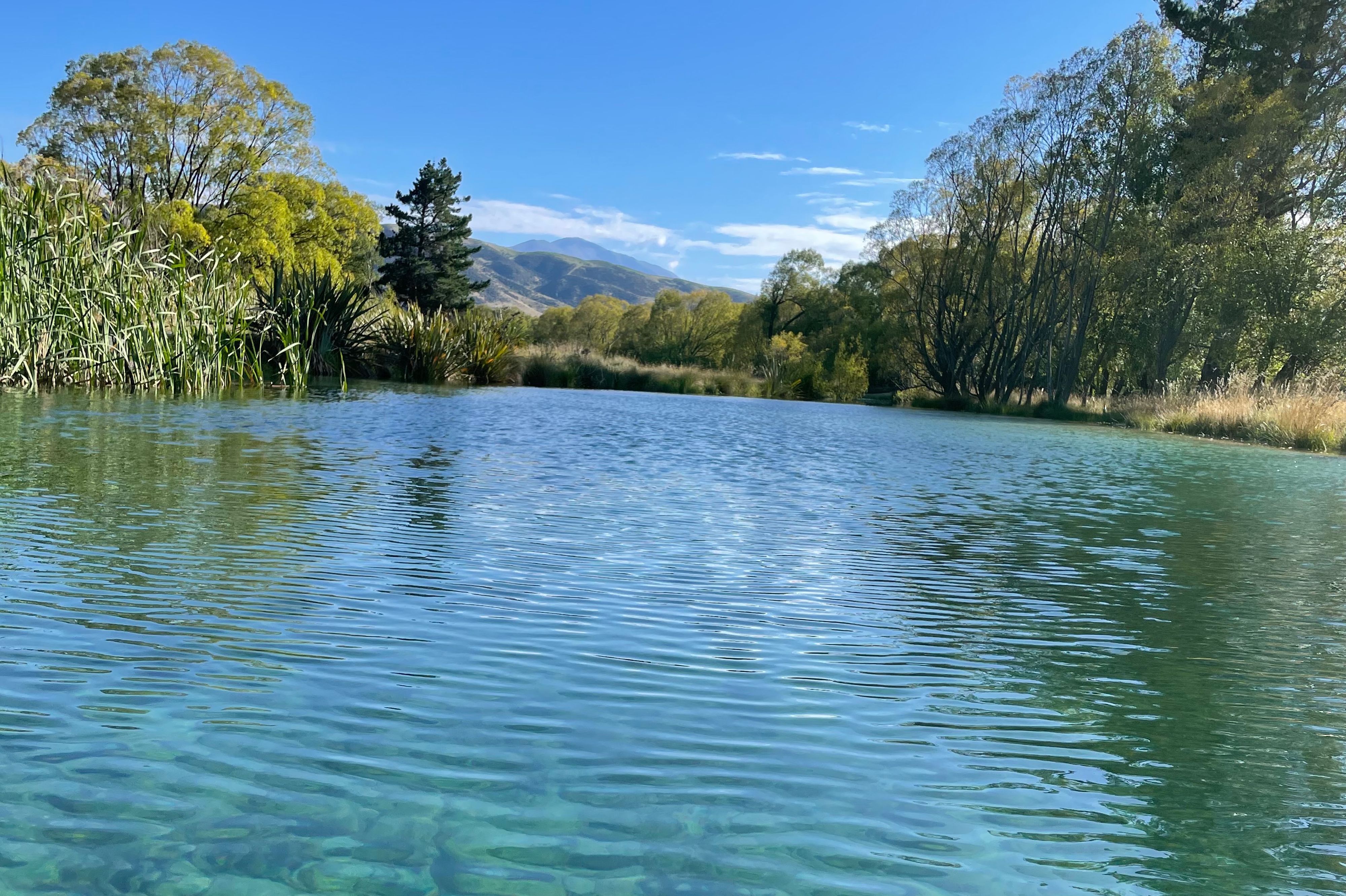 Kurow Holiday Park - Image 3