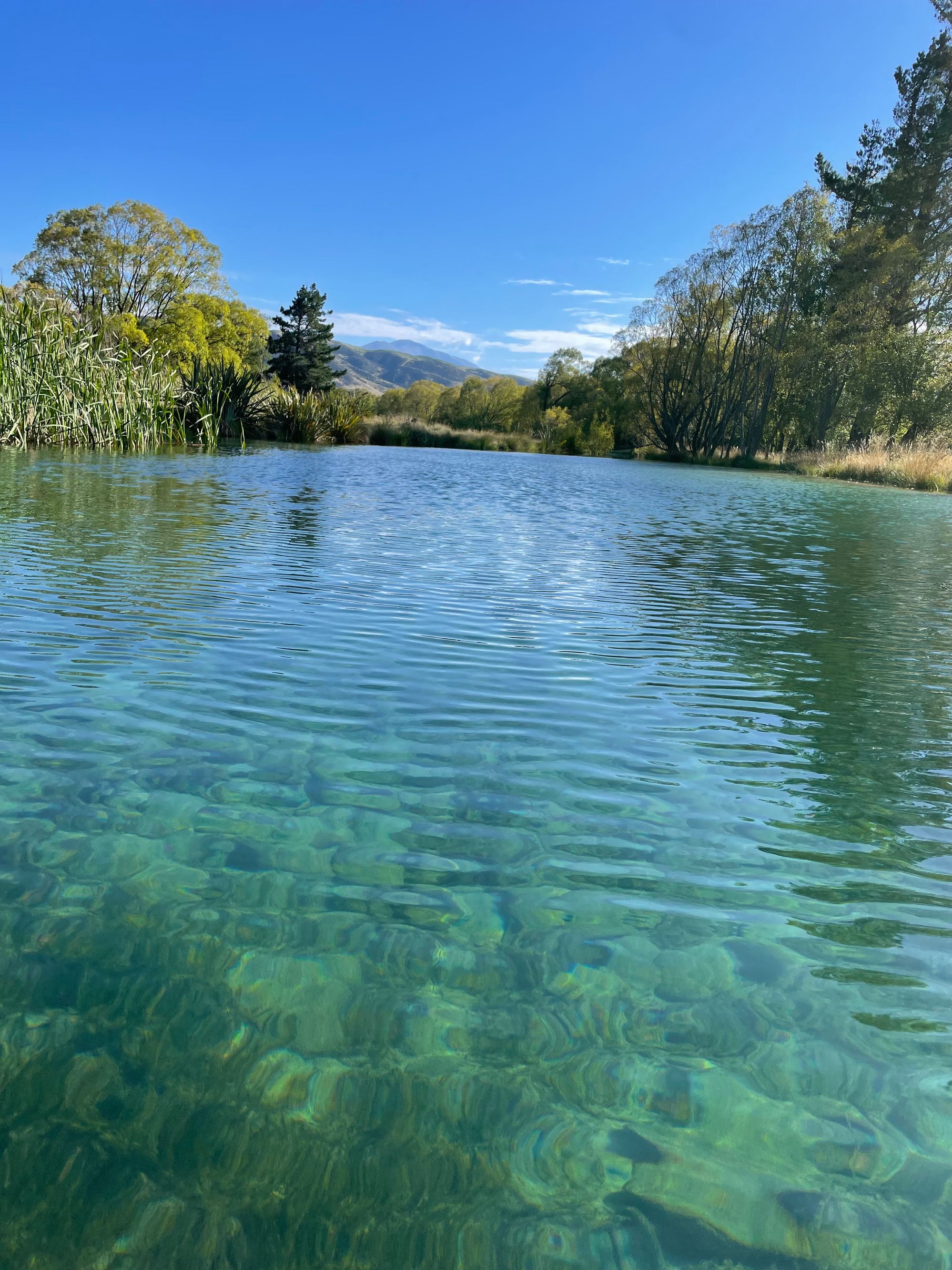 Kurow Holiday Park - Image 3