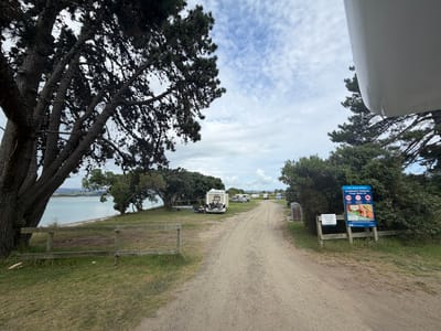 Port Ohope Reserve Freedom Camping area
