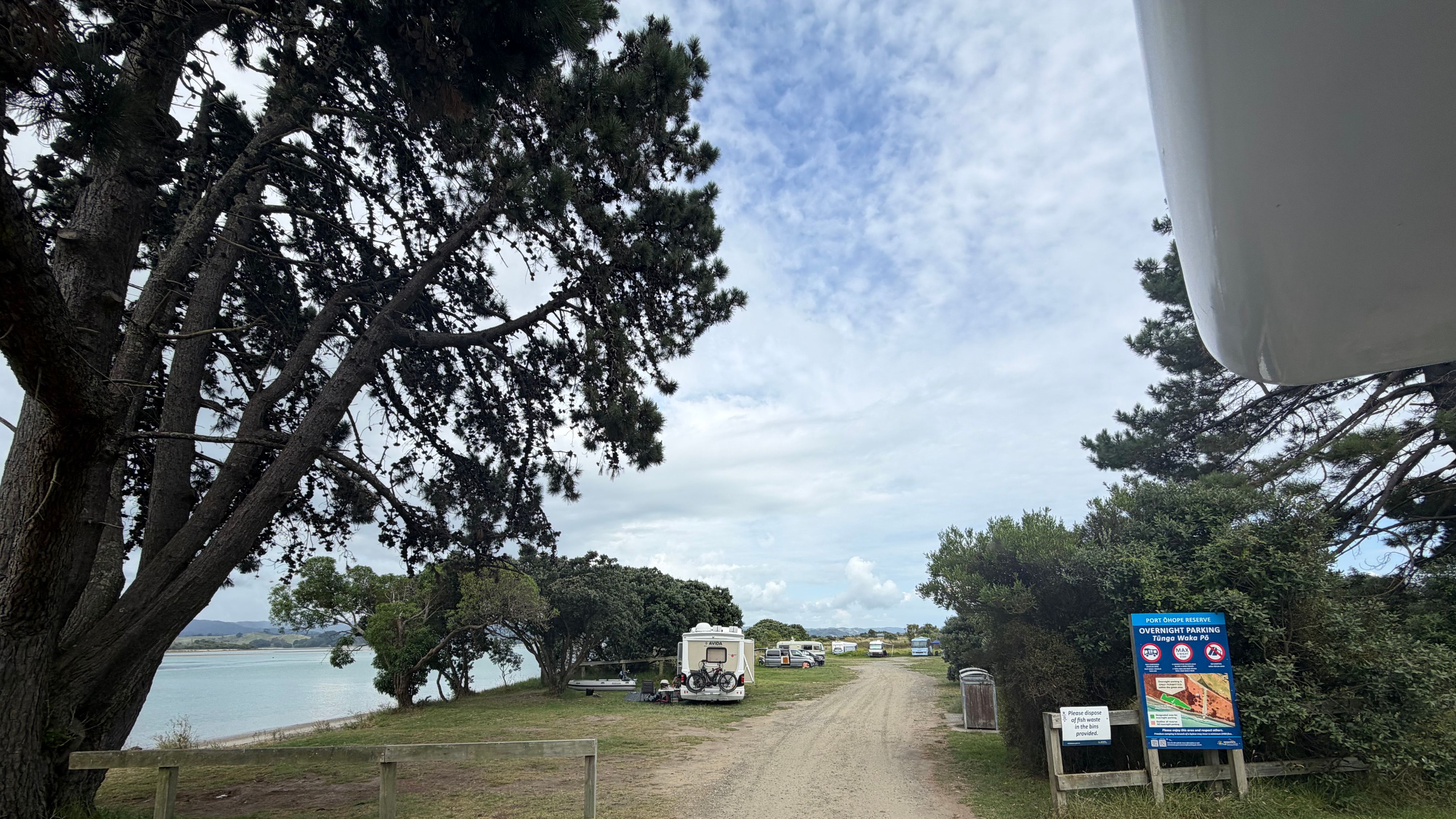 Port Ohope Reserve Freedom Camping area