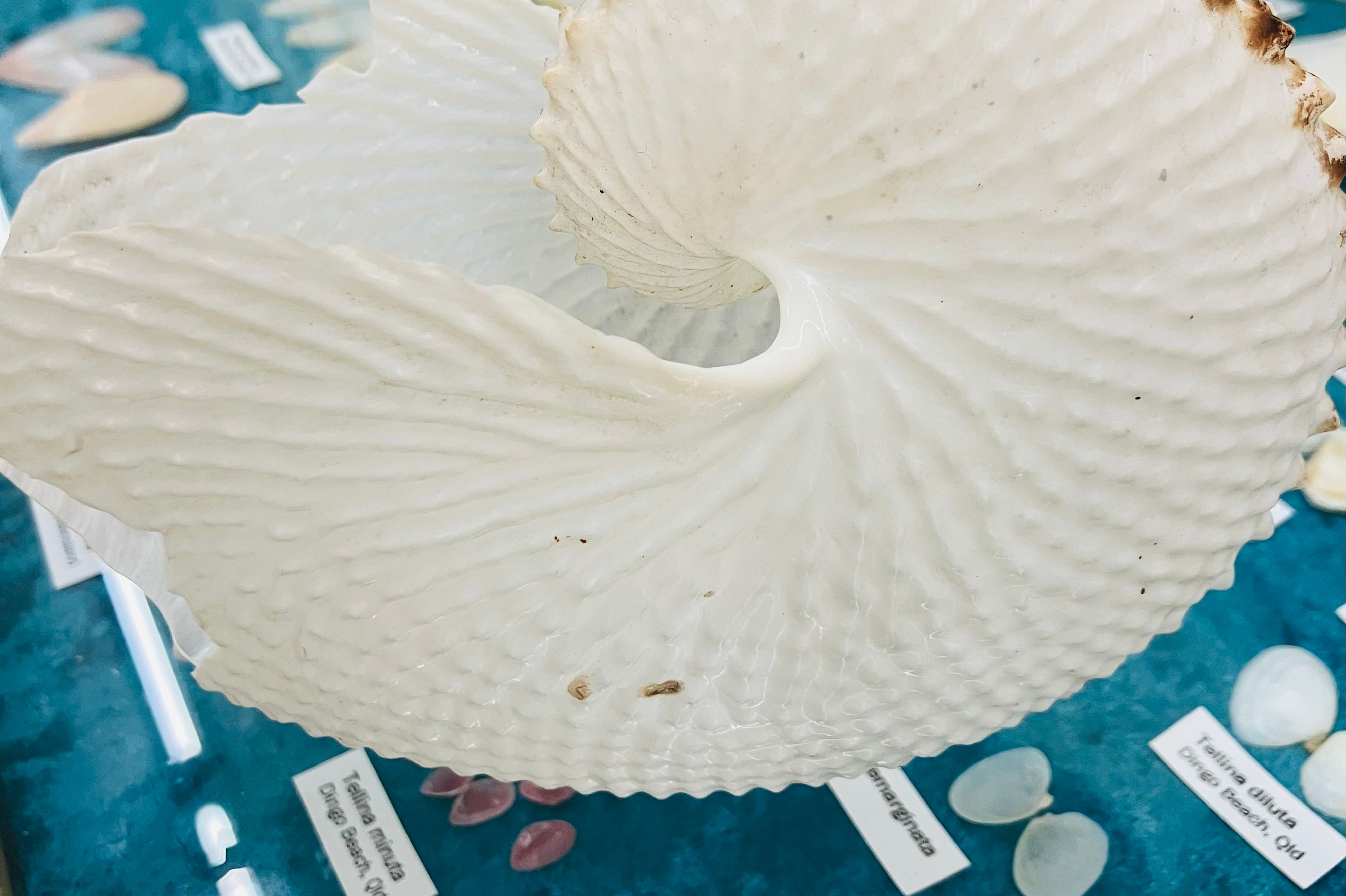 Centre Environnemental de Bunurong
