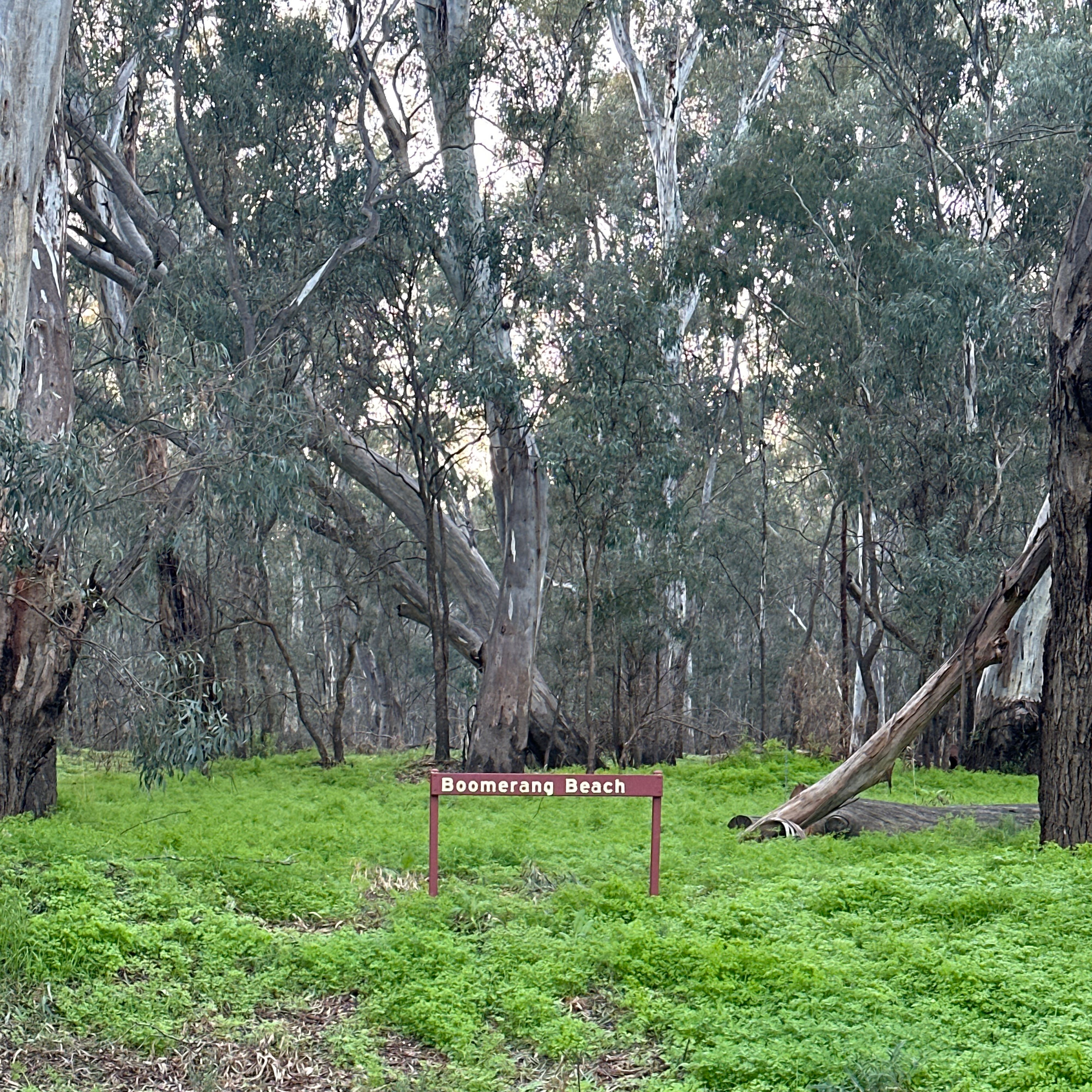 Boomerang Beach Camp - Image 2