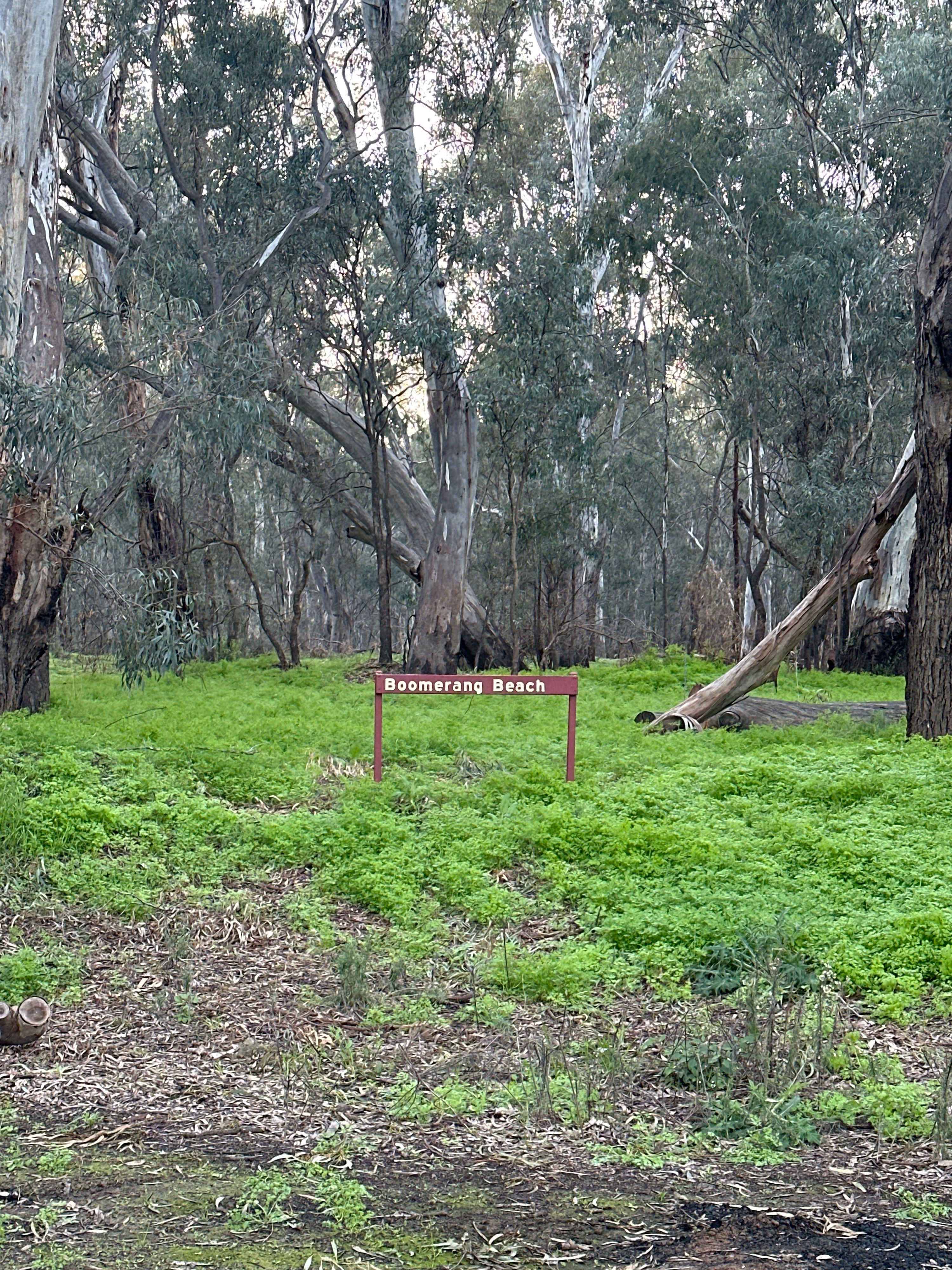 Boomerang Beach Camp - Image 2
