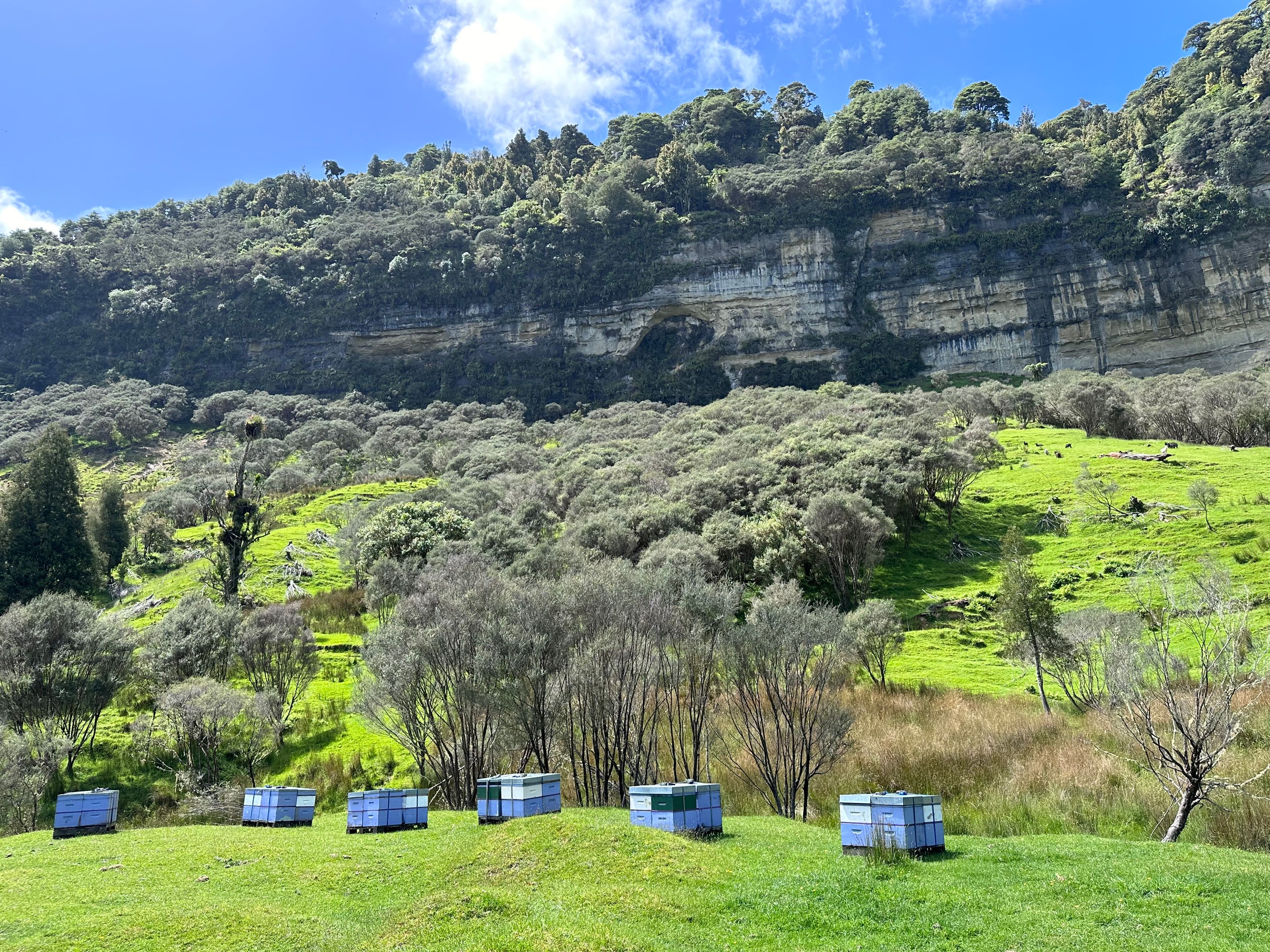 Bushlands Campground - Image 3