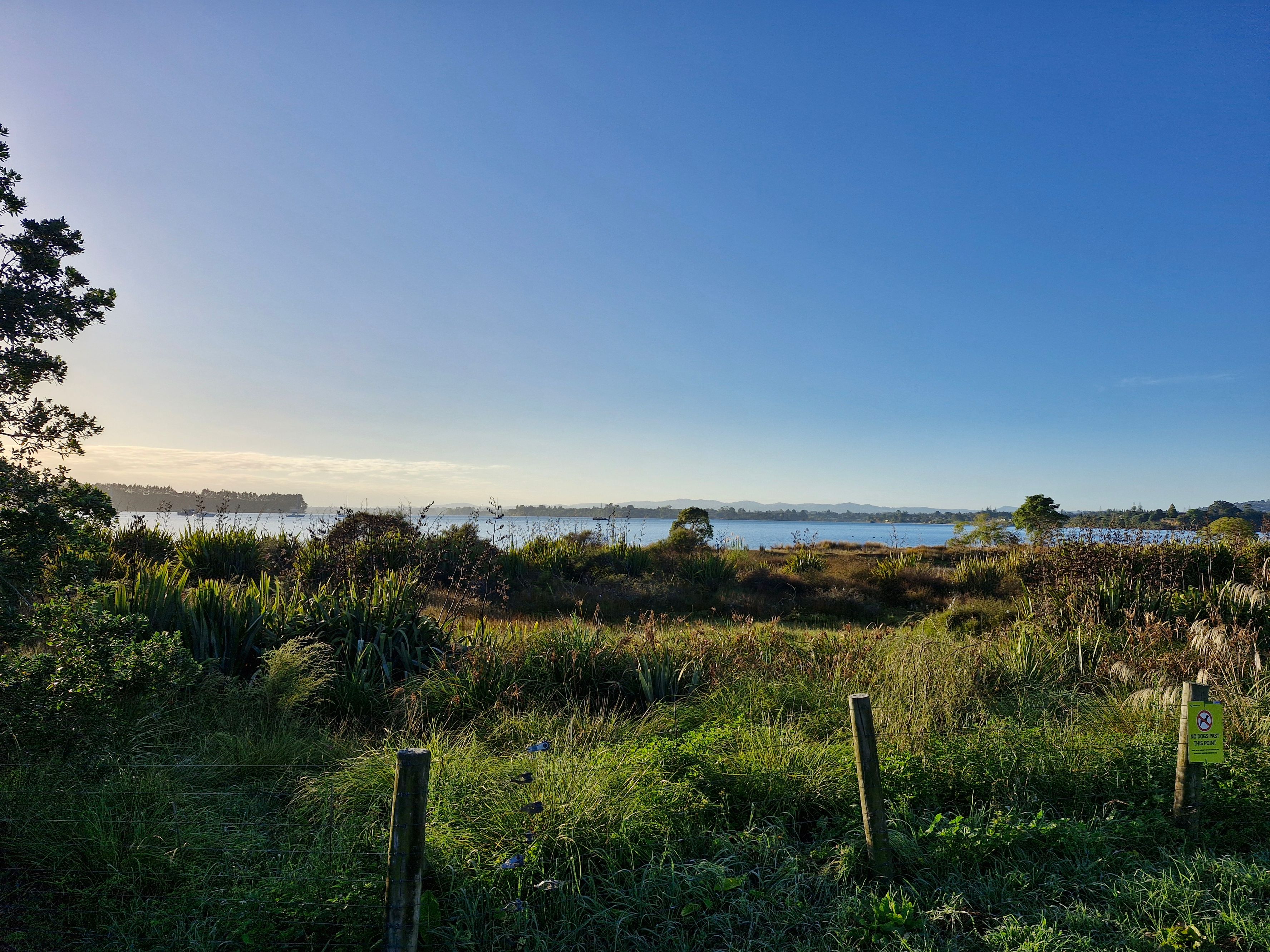 Cooney Reserve - Image 2