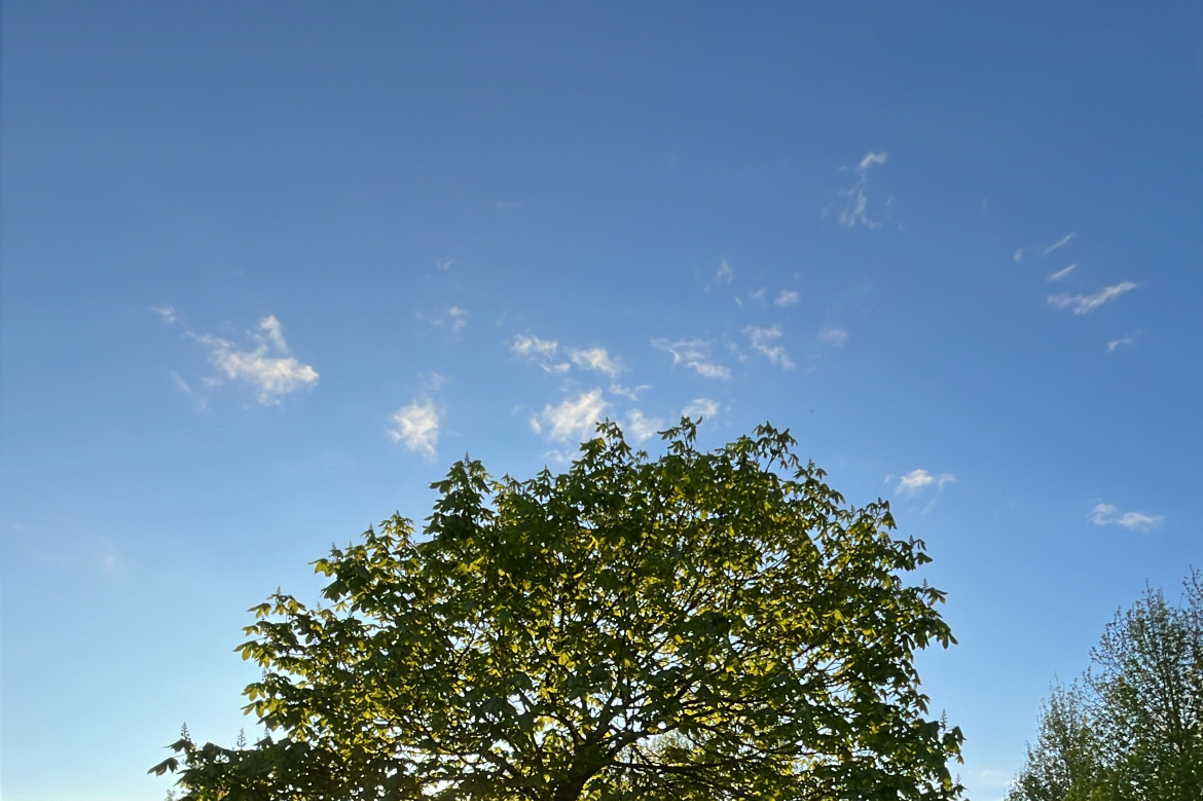 Отель Lake Aniwhenua Reserve Camping - Image 2