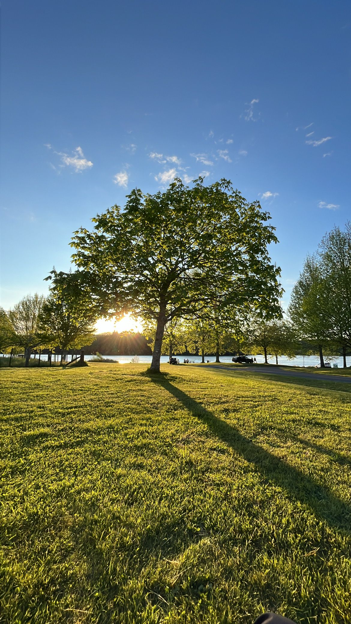Отель Lake Aniwhenua Reserve Camping - Image 2