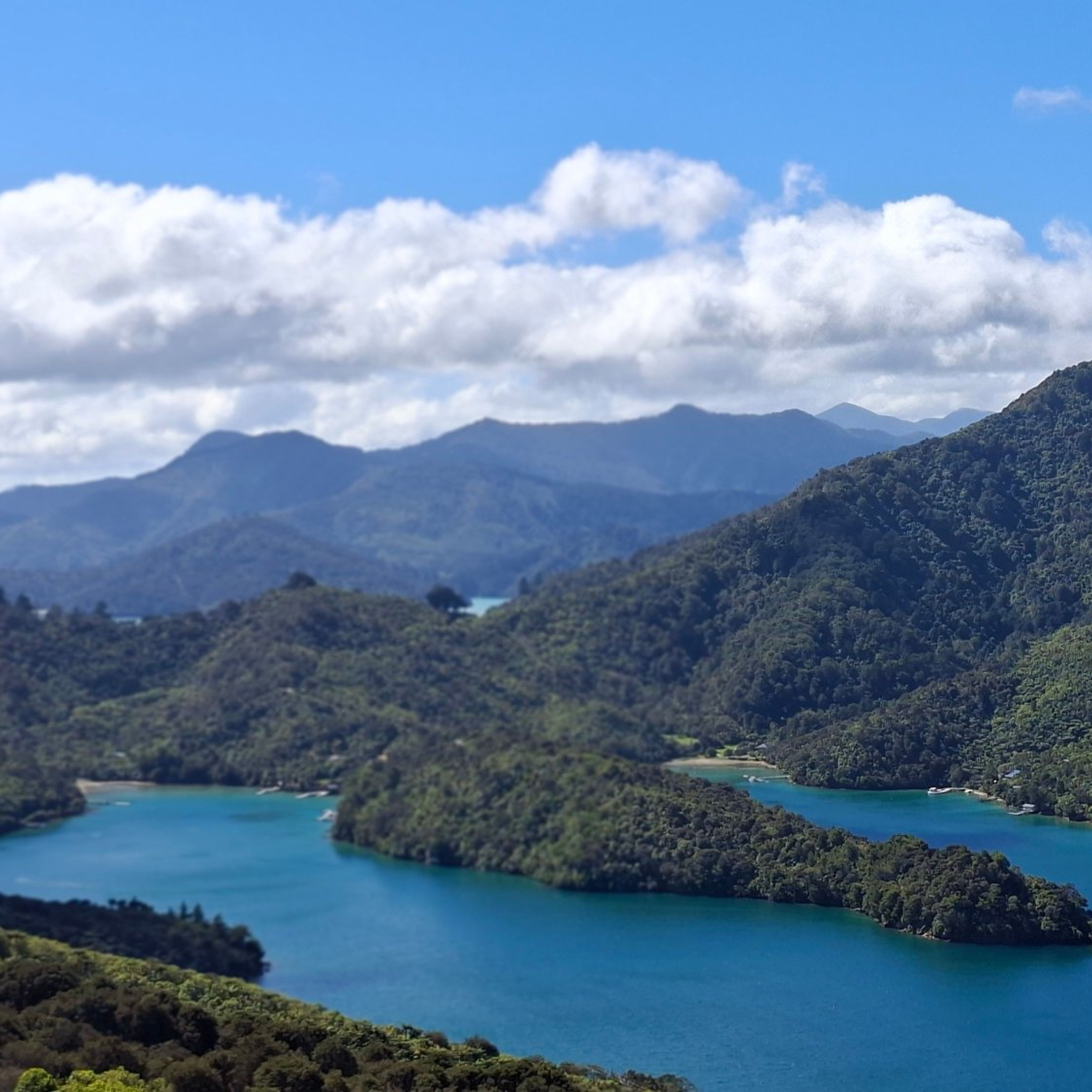 Reisefoto von Mistletoe Bay Eco Village