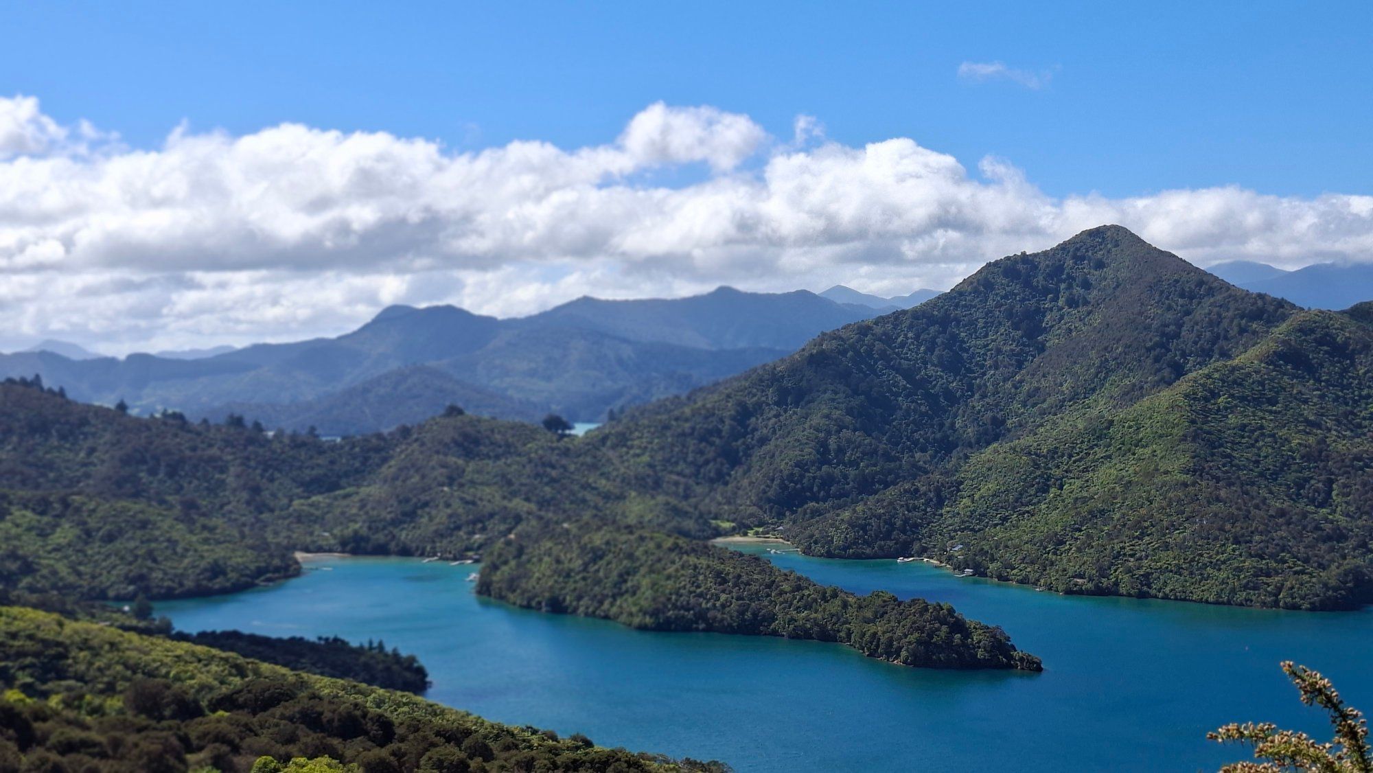 Reisefoto von Mistletoe Bay Eco Village