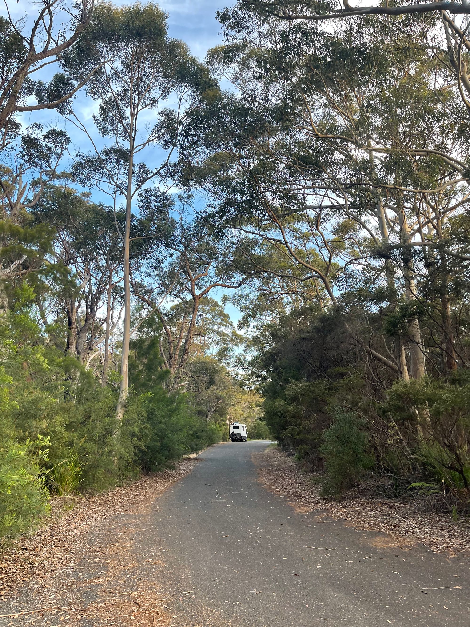 Walpole West Rest Area - Image 3
