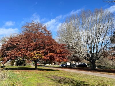 Lille Waipa Reserve