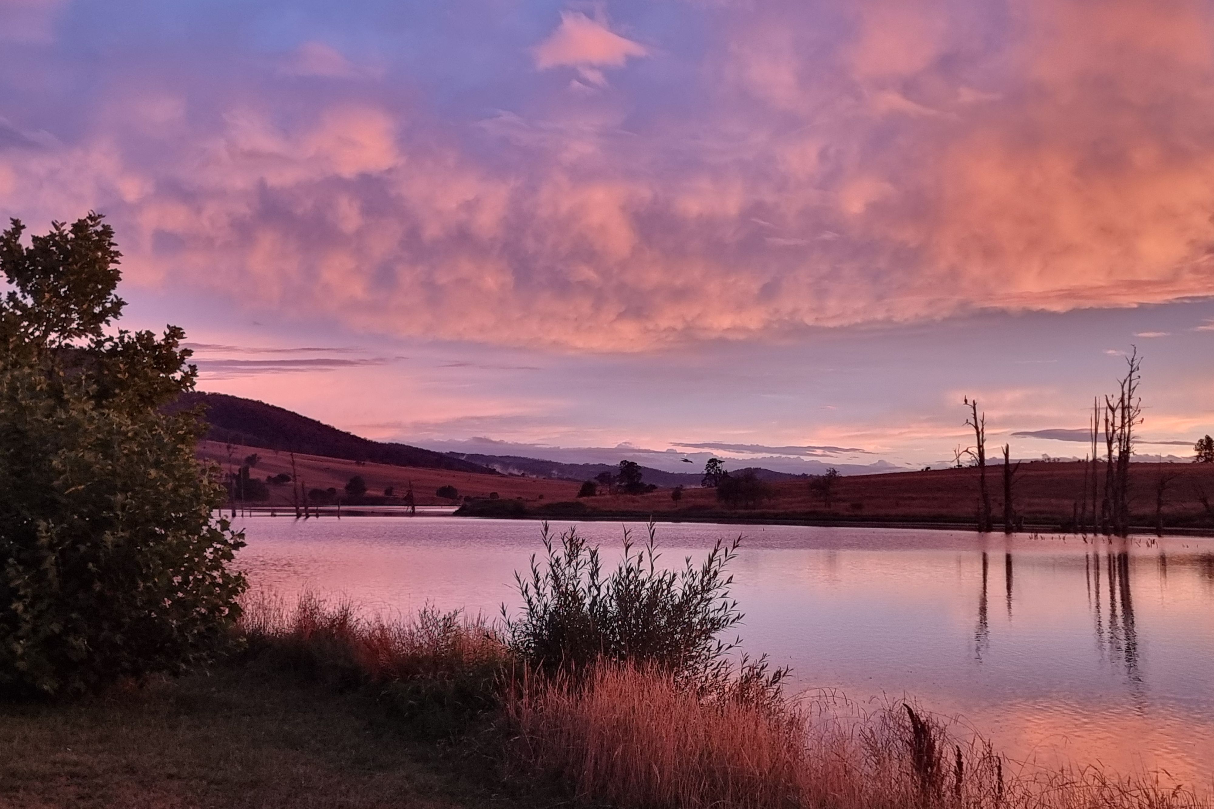Mannus Lake Free Campground - Image 3