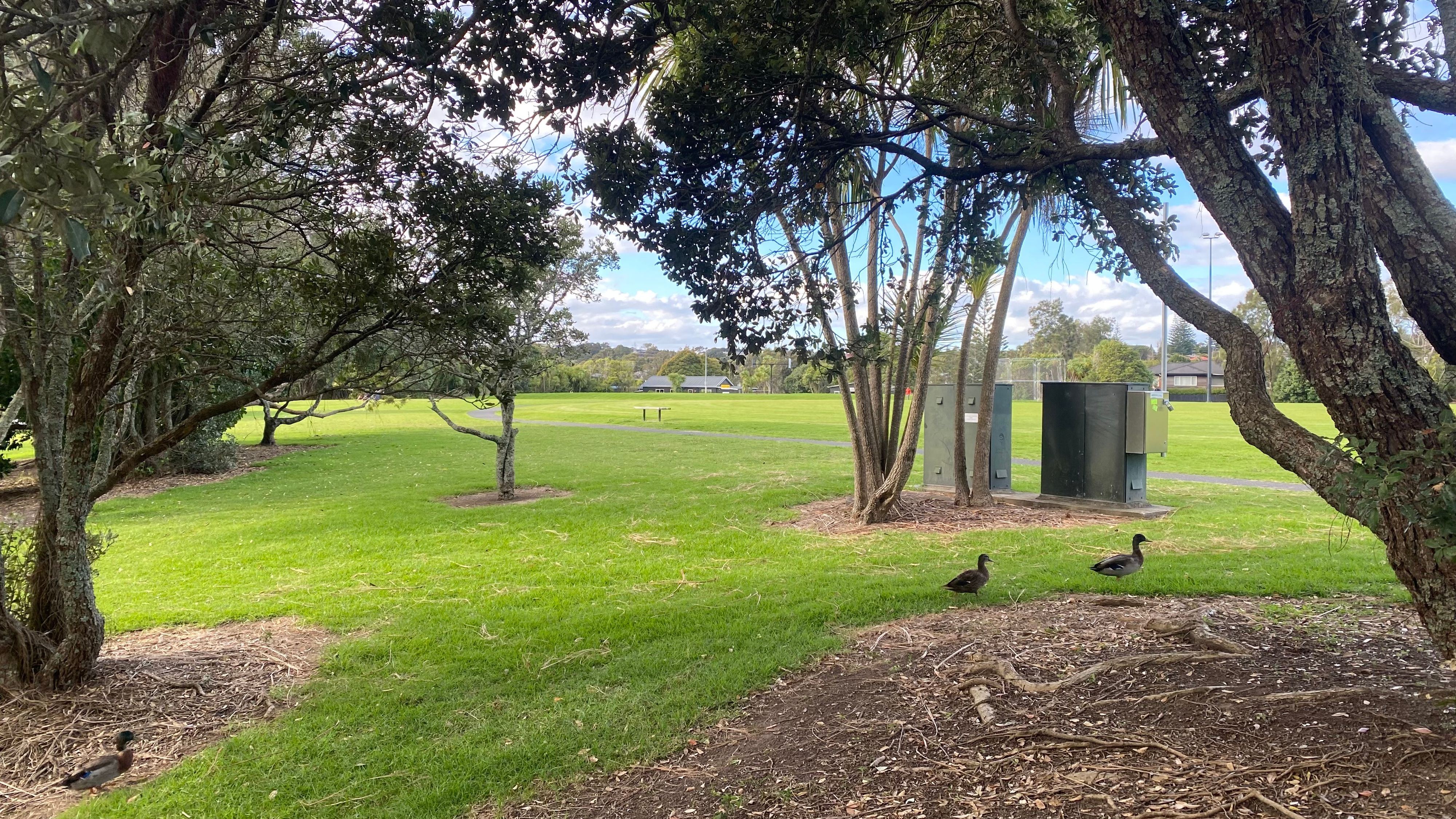 Margaret Griffen Park - Image 2