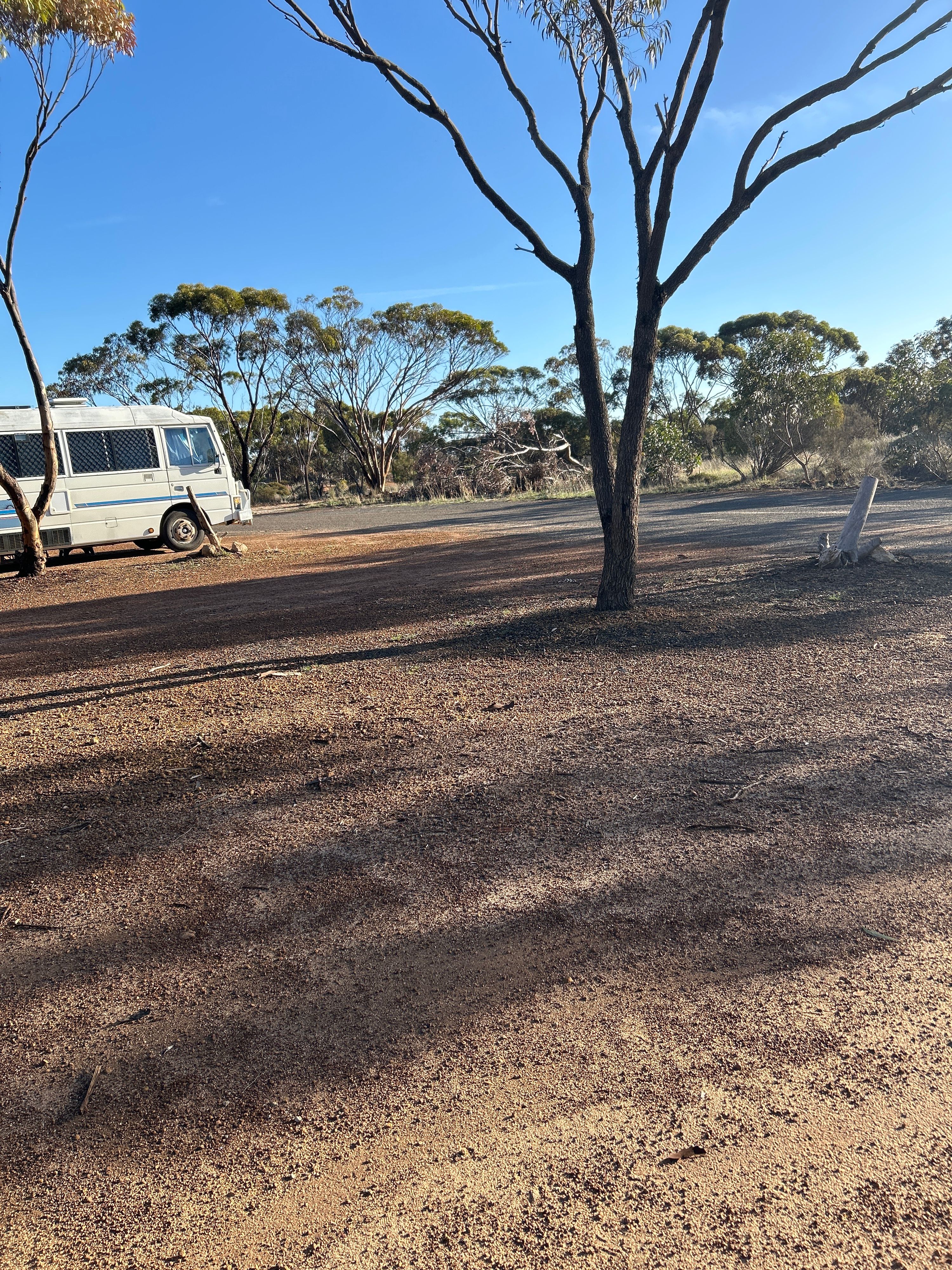 Lake King Motel and Caravan Park - Image 2