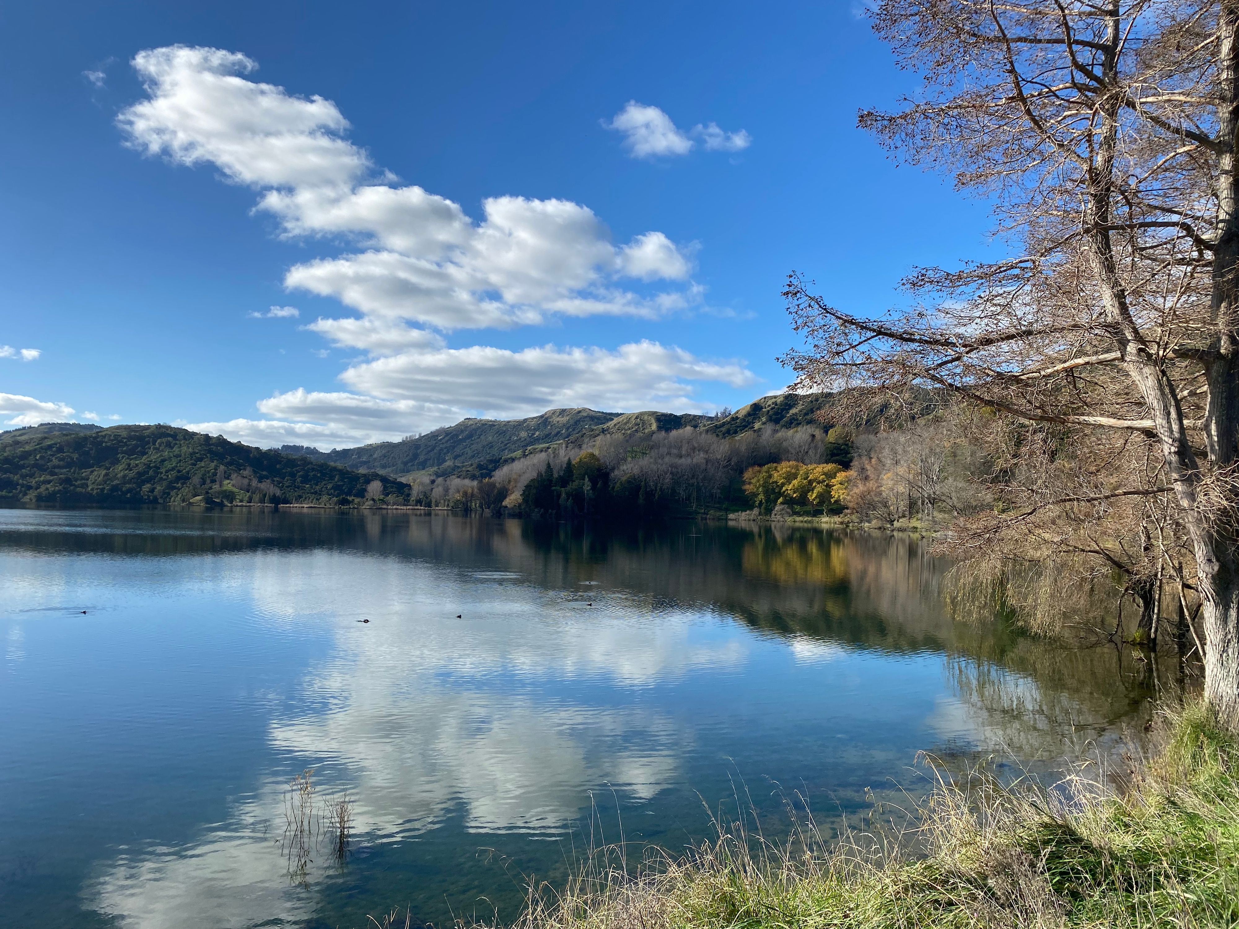 Tutira Lake Camping Area - Image 2
