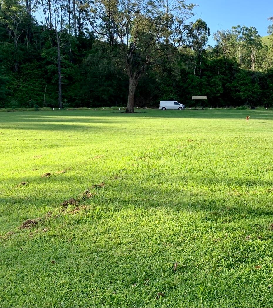 Copeland Reserve Camp Area - Image 2