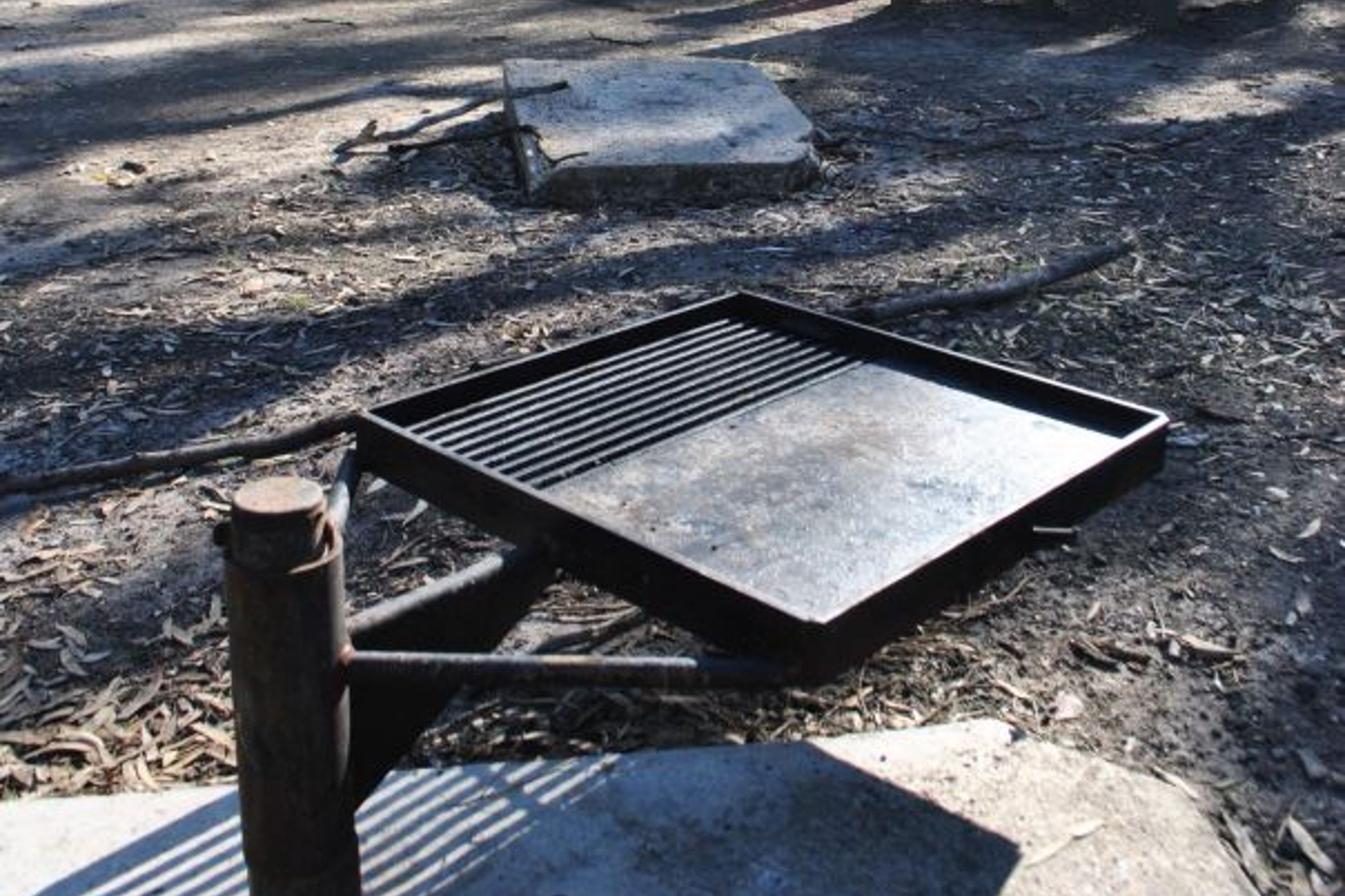 Wail State Forest Campgrounds - Image 3
