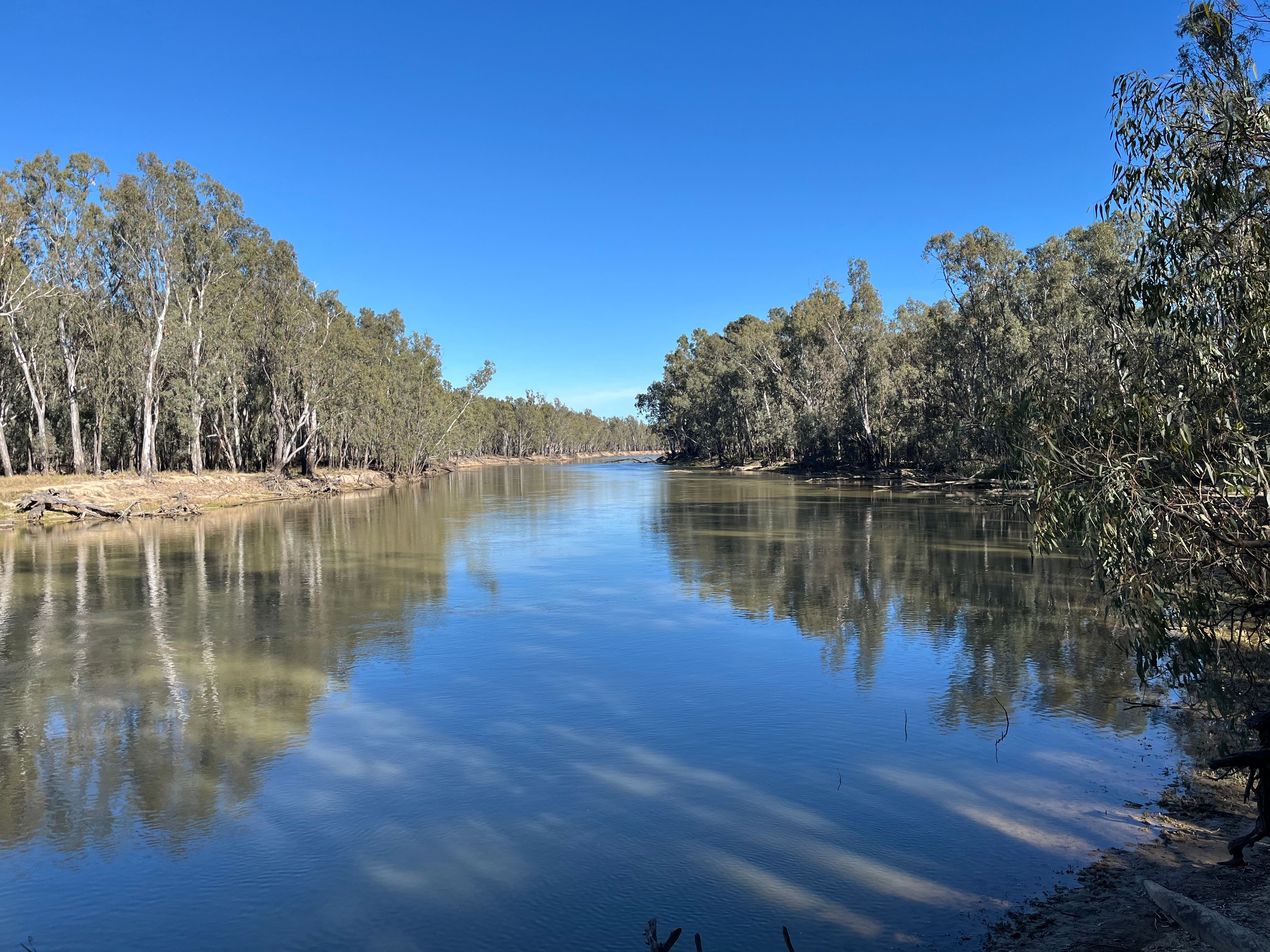 Tempat wisata di Barmah Bridge Caravan Park - Image 2