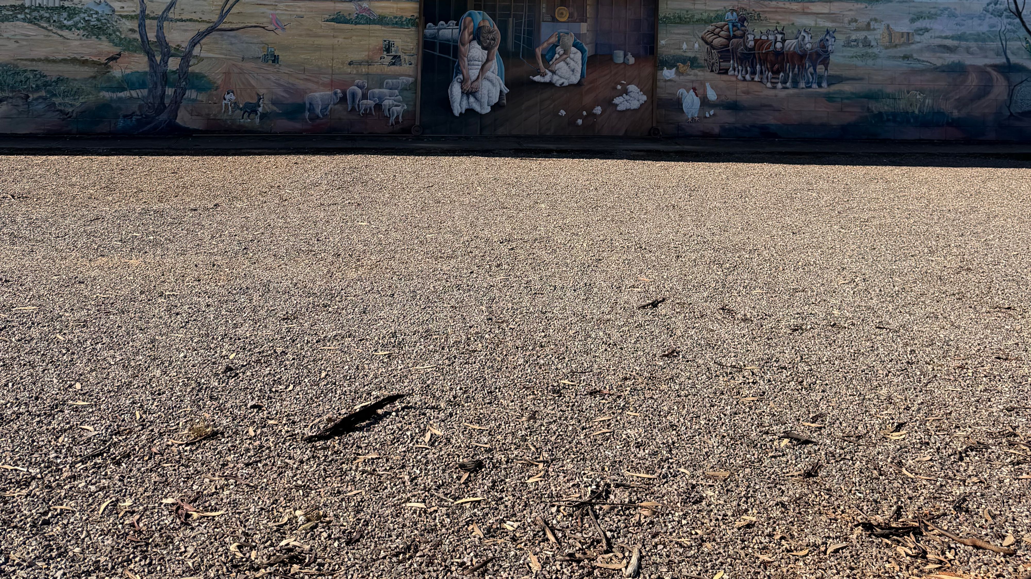 Kimba Recreation Reserve