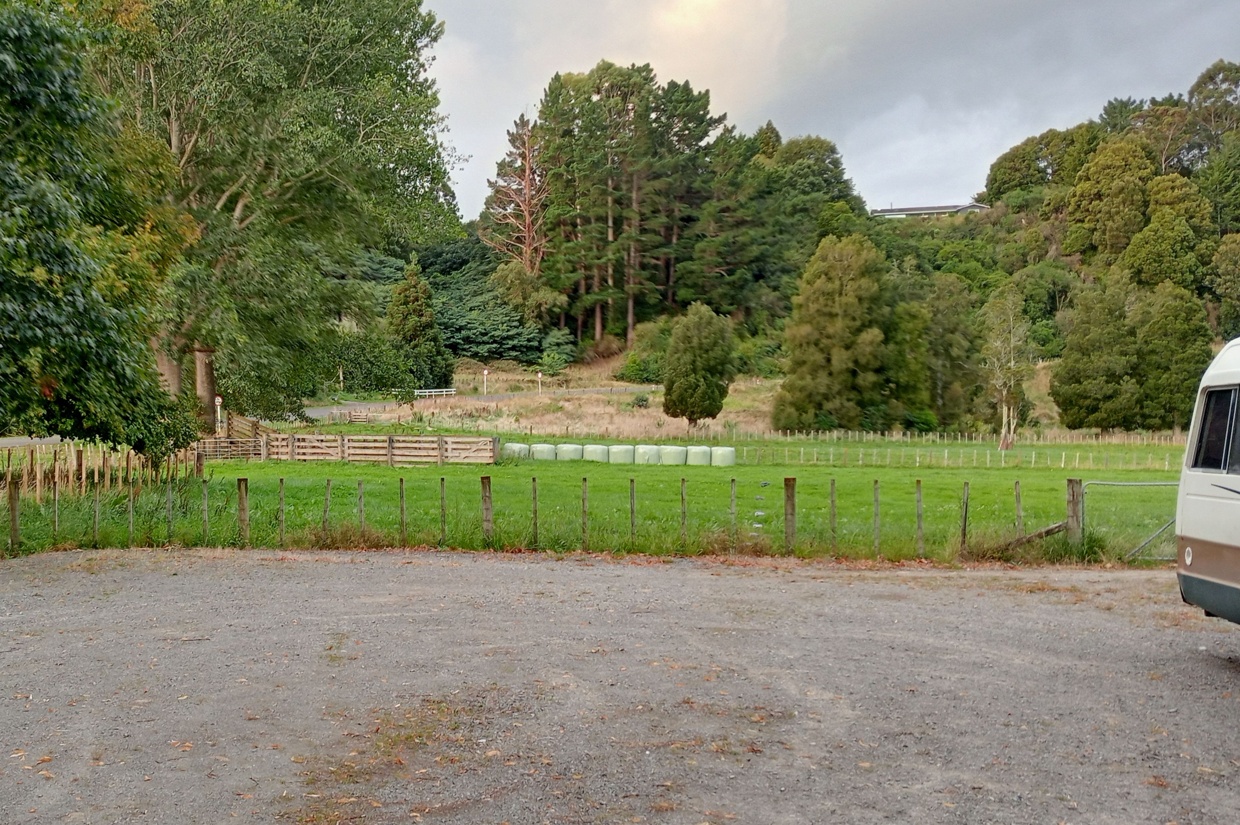 Pohangina Recreational Reserve (The Domain) - Image 2