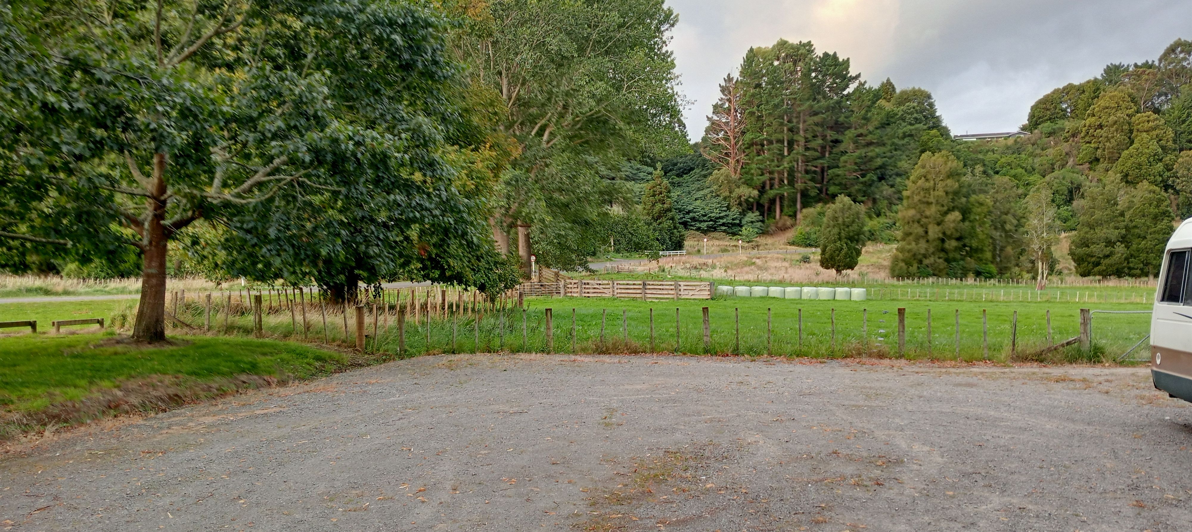 Pohangina Recreational Reserve (The Domain) - Image 2