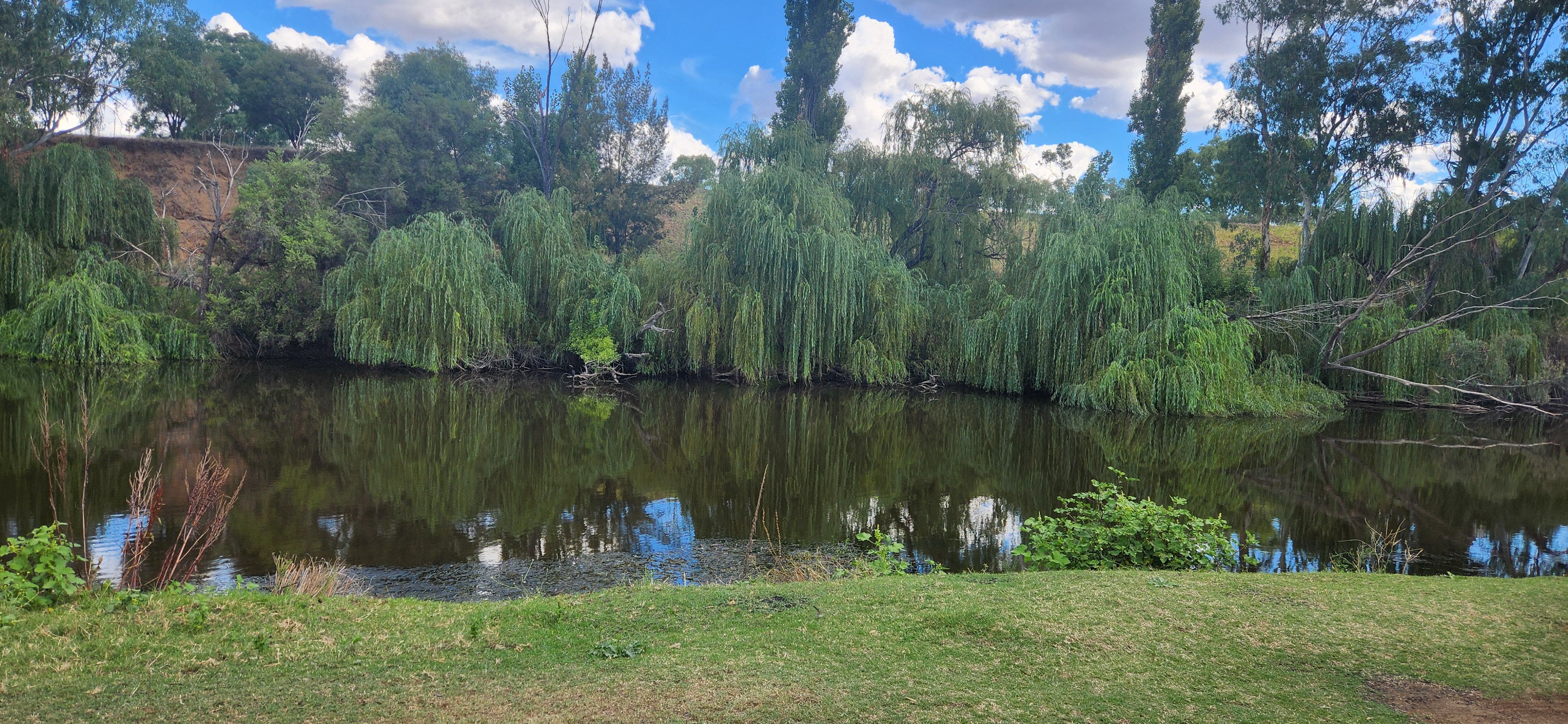 Bingara Riverside Camp Area - Image 3