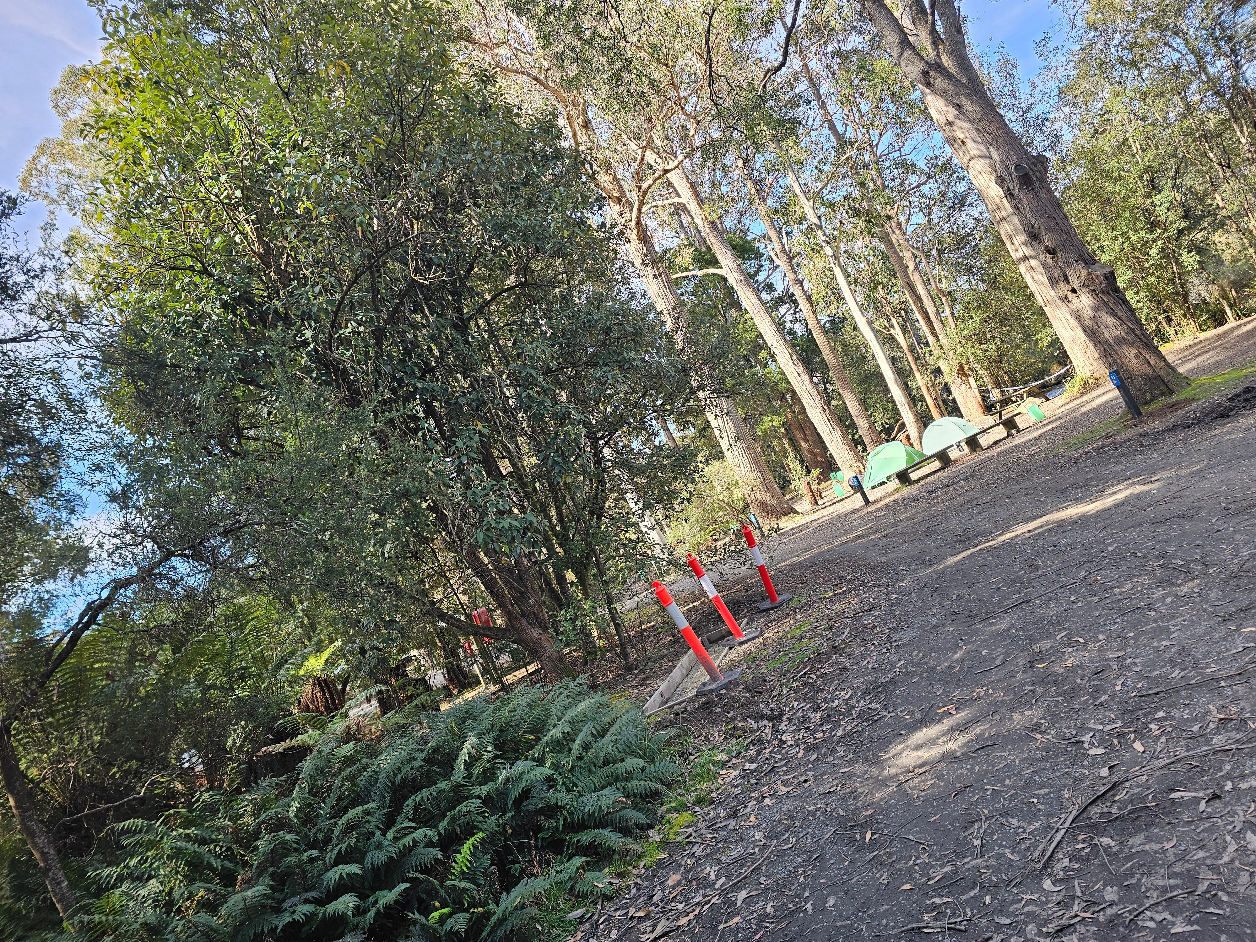 Reisende foto av Mount Field Campground
