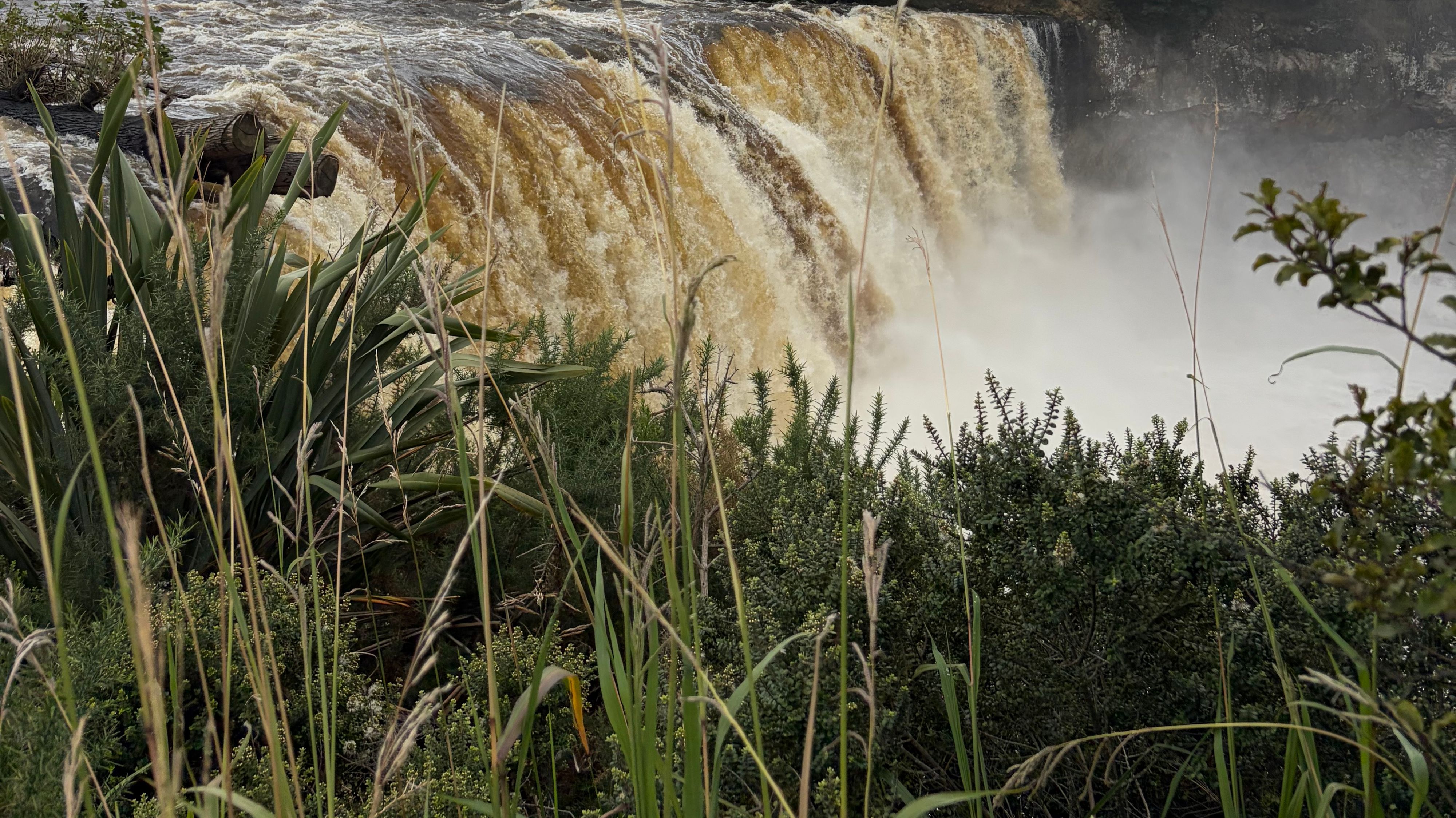 Wairua Falls 근처 오락거리
