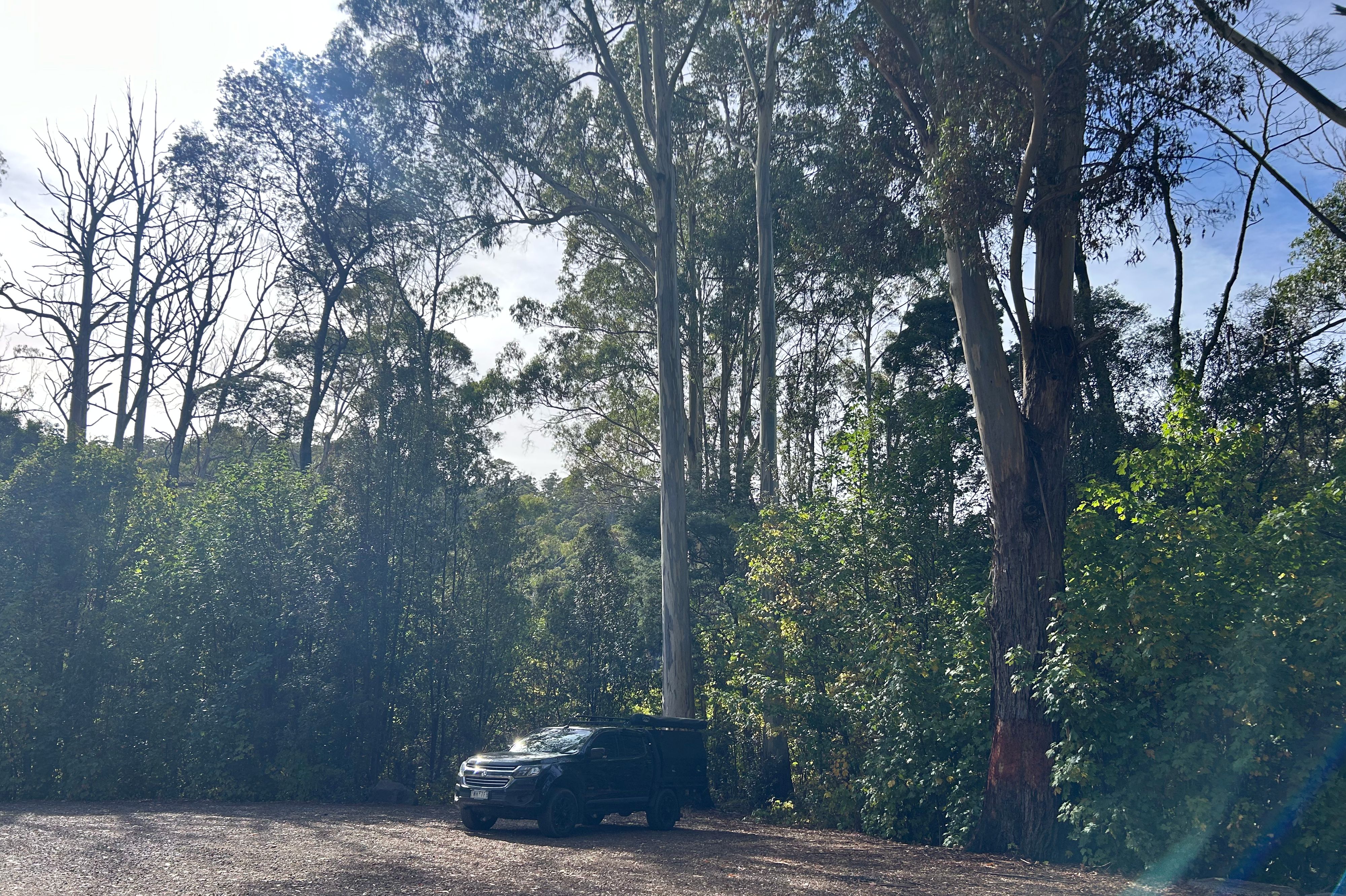 Lake Barrington - Image 3